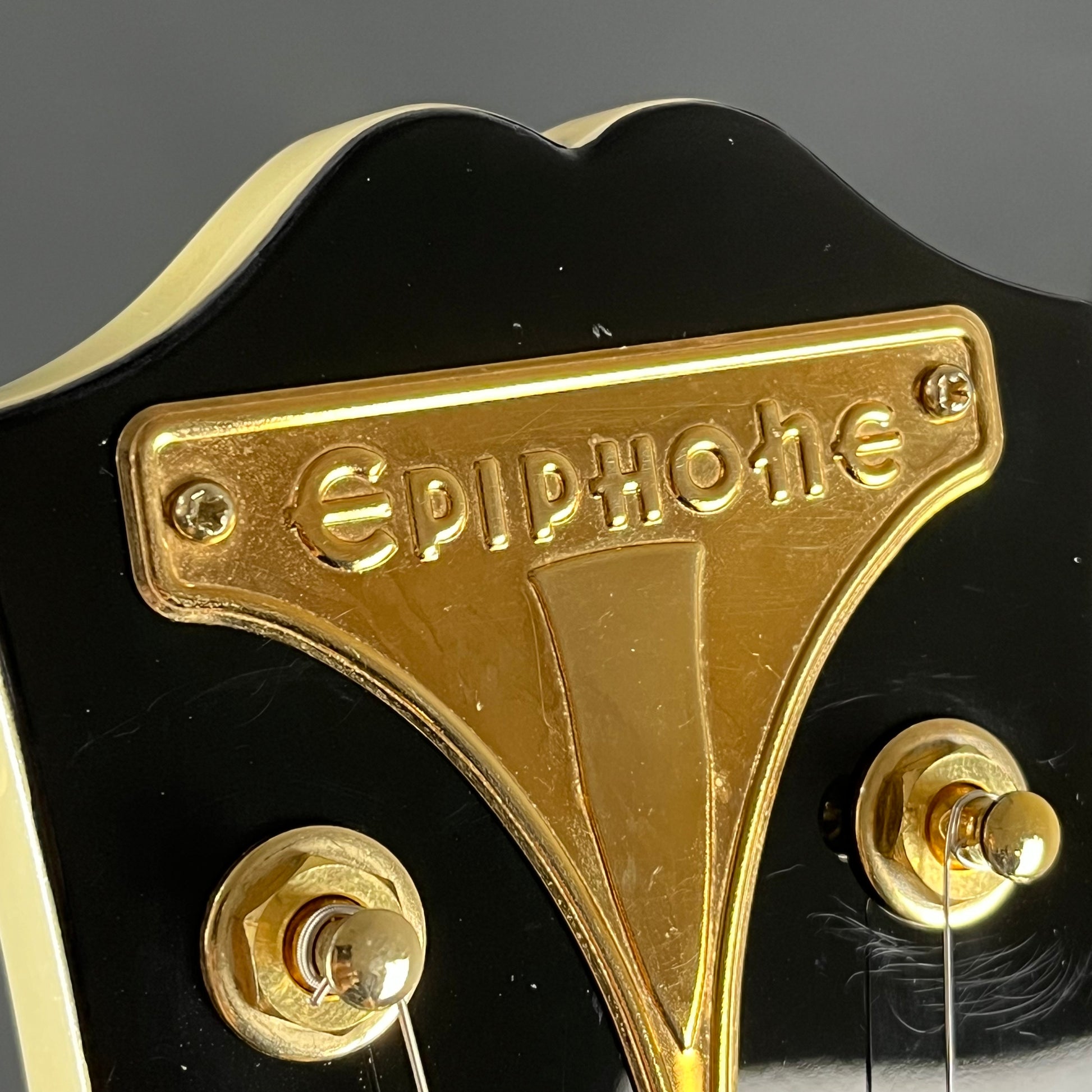 Epiphone WILDKAT With Bigsby