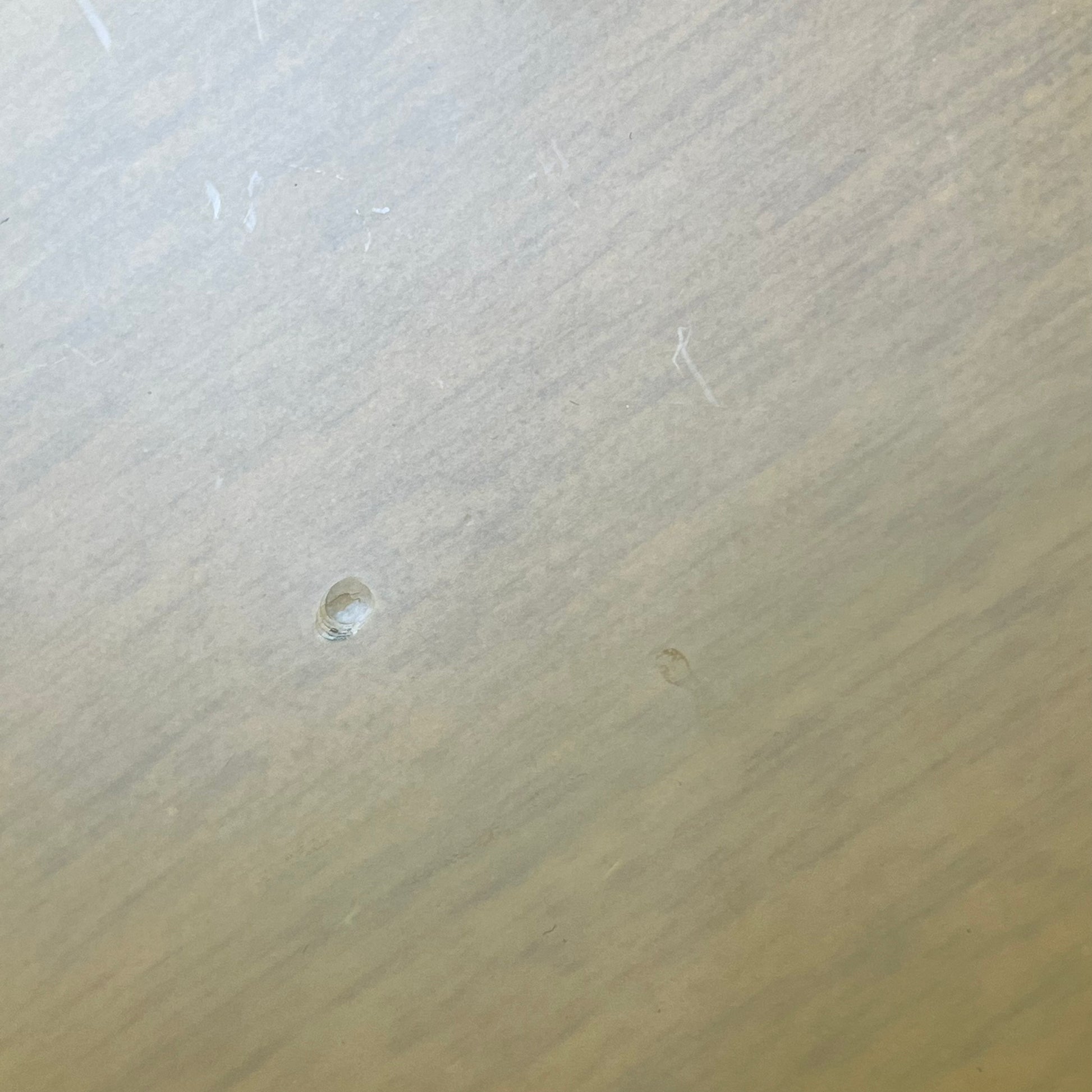 Epiphone Les Paul Special Bolt-on