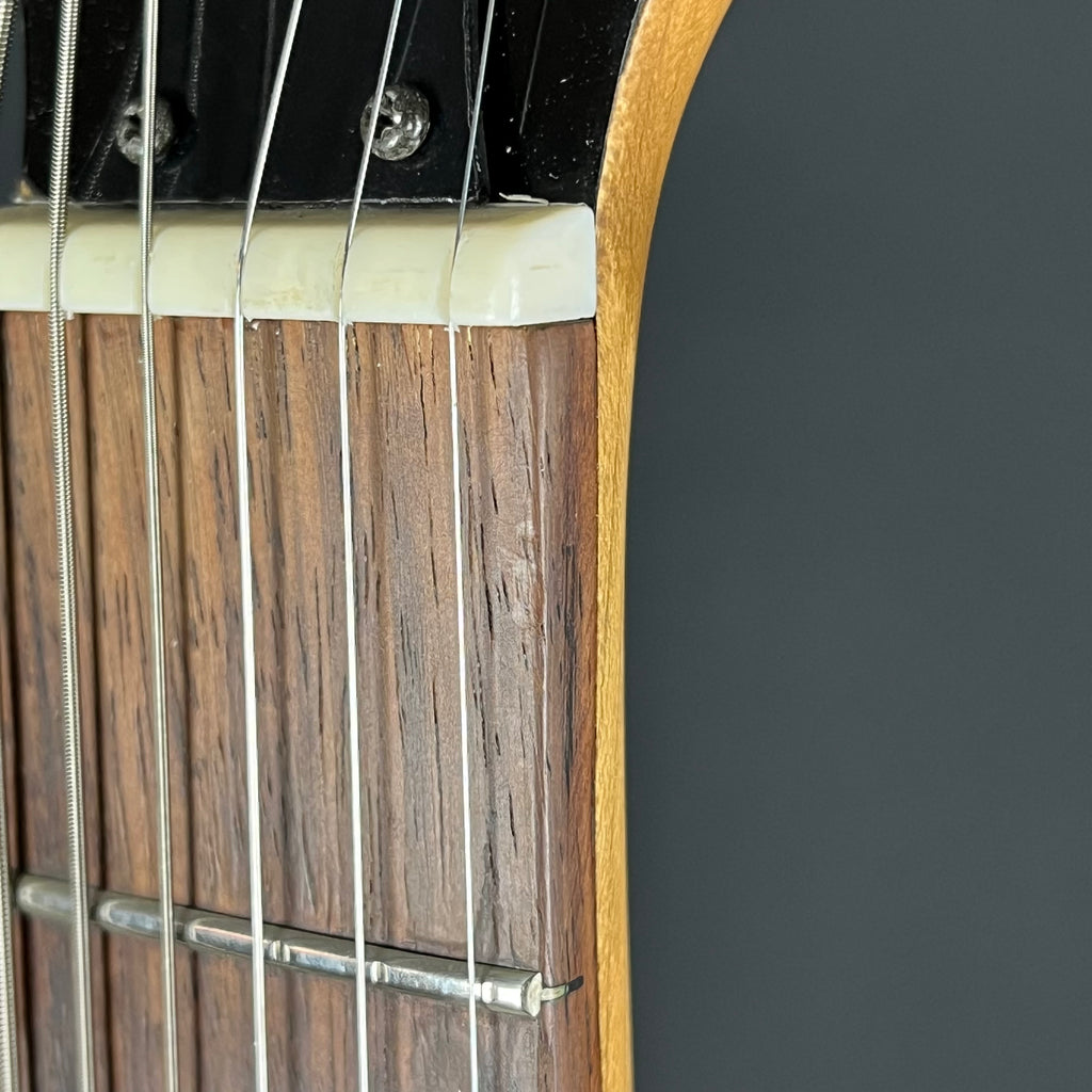 Burny LG-480