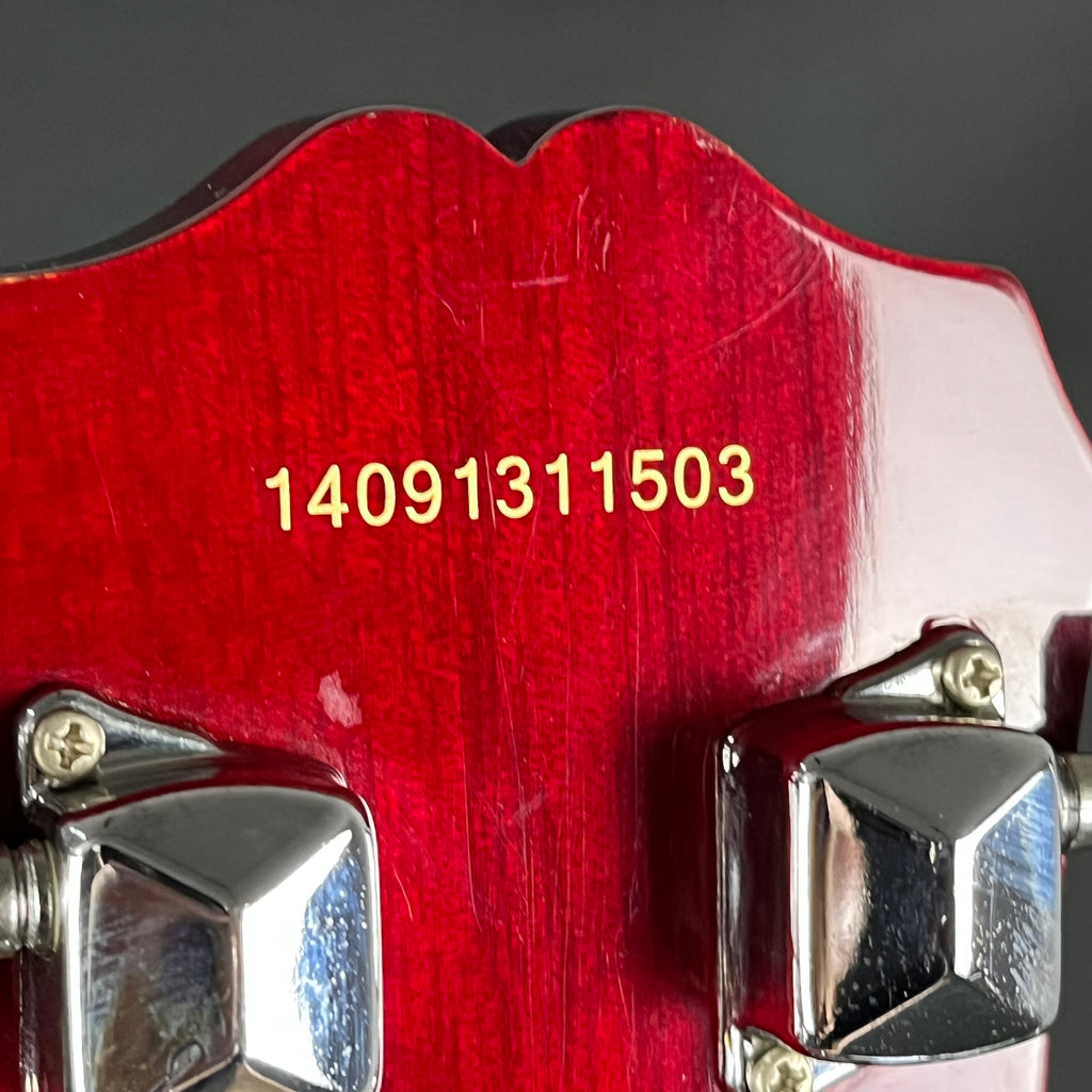 Epiphone SLASH AFD Les Paul Special II