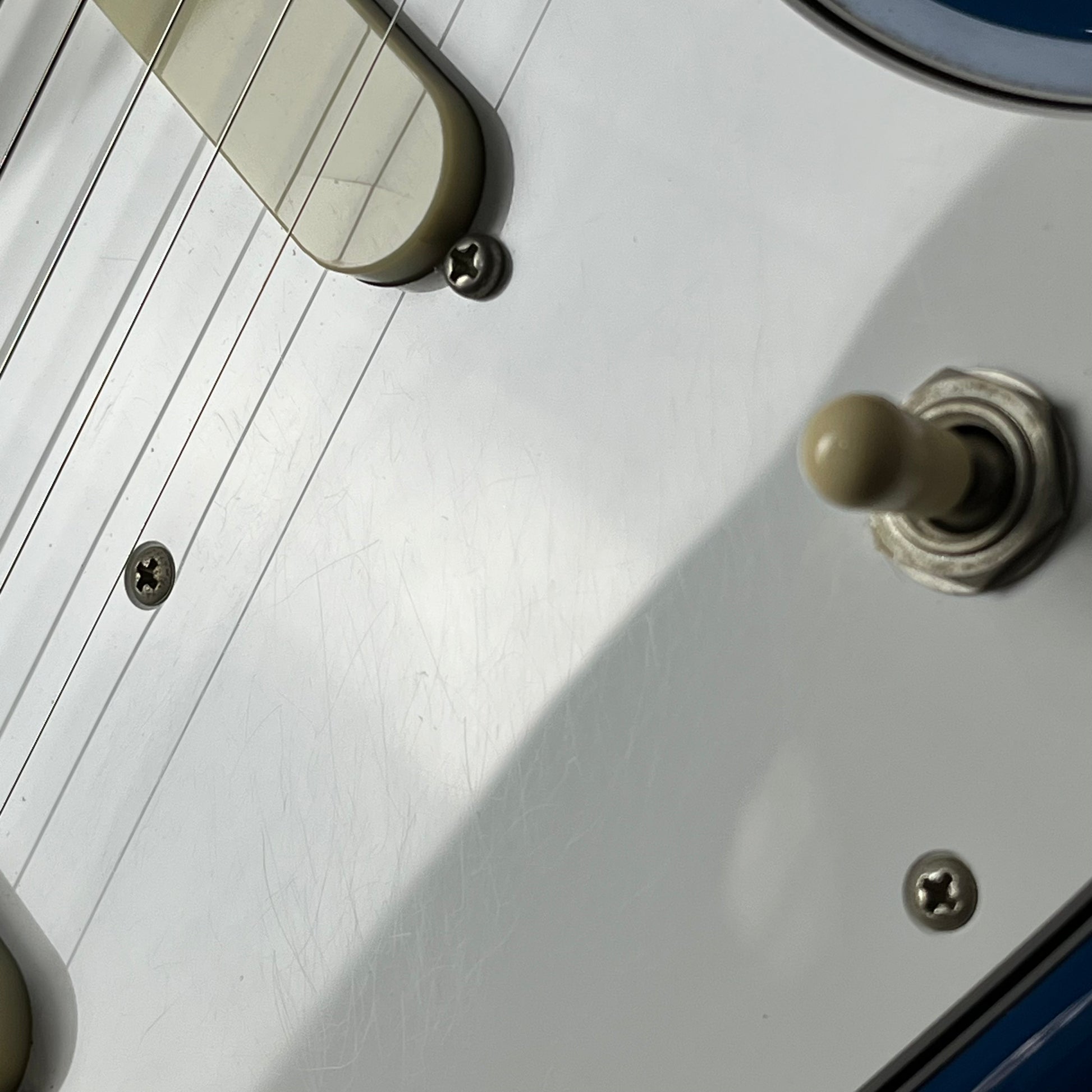 Fender Japan Char Mustang Zicca Limited