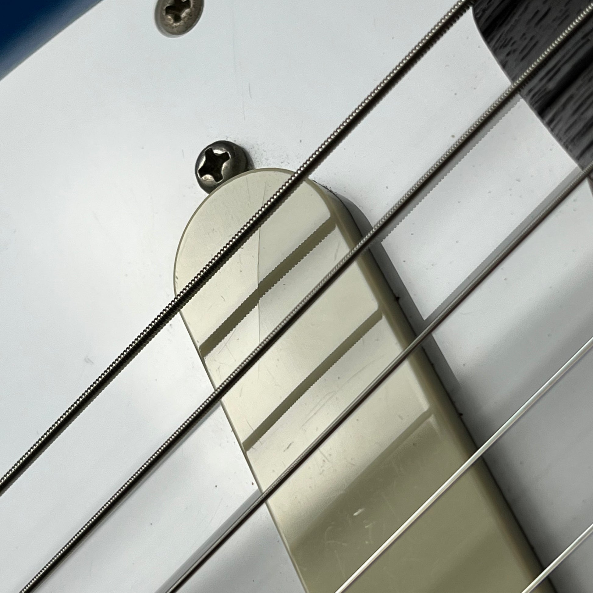 Fender Japan Char Mustang Zicca Limited