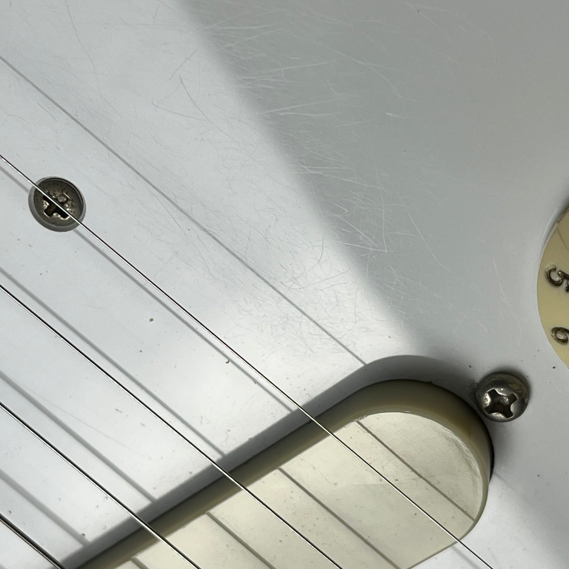 Fender Japan Char Mustang Zicca Limited