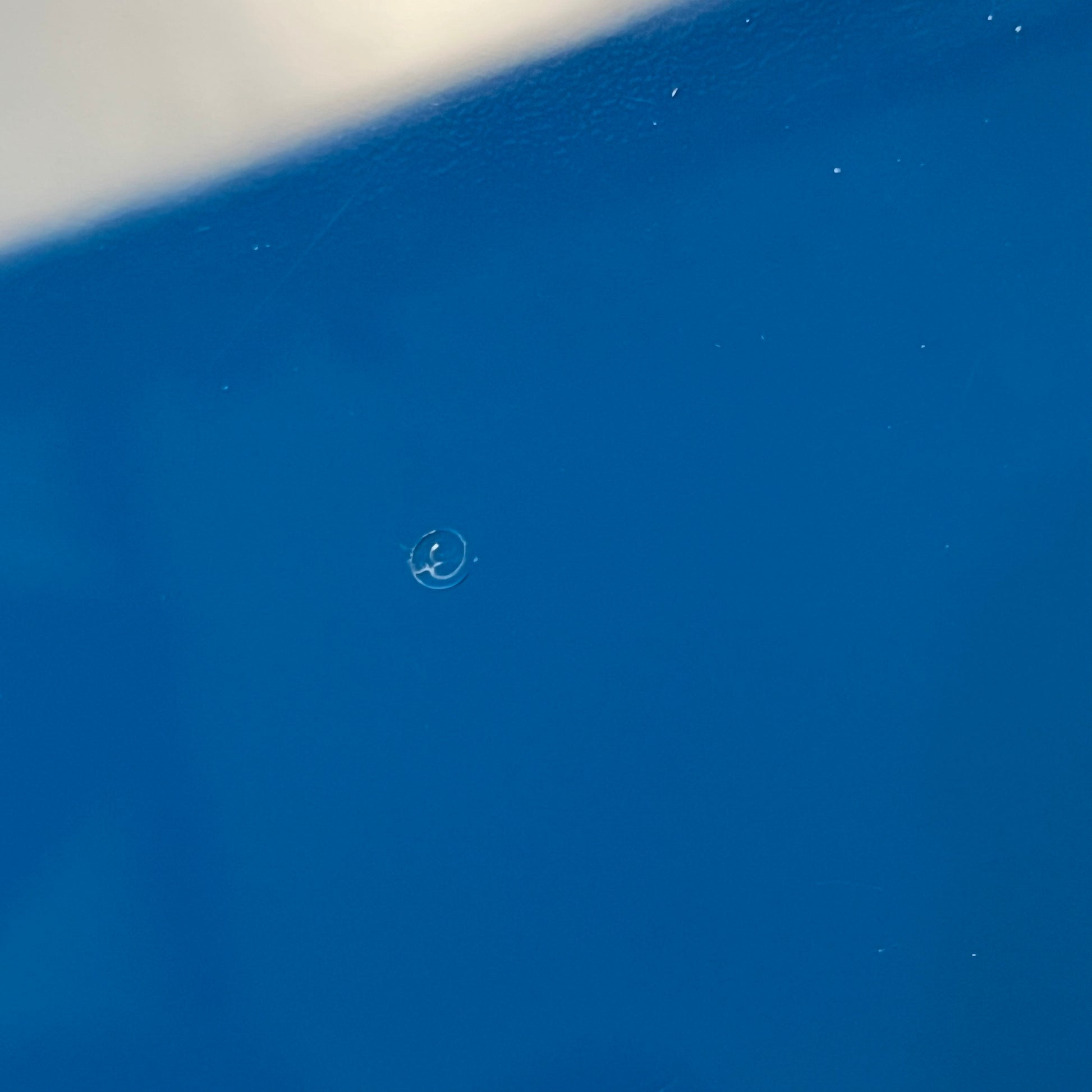 Fender Japan Char Mustang Zicca Limited