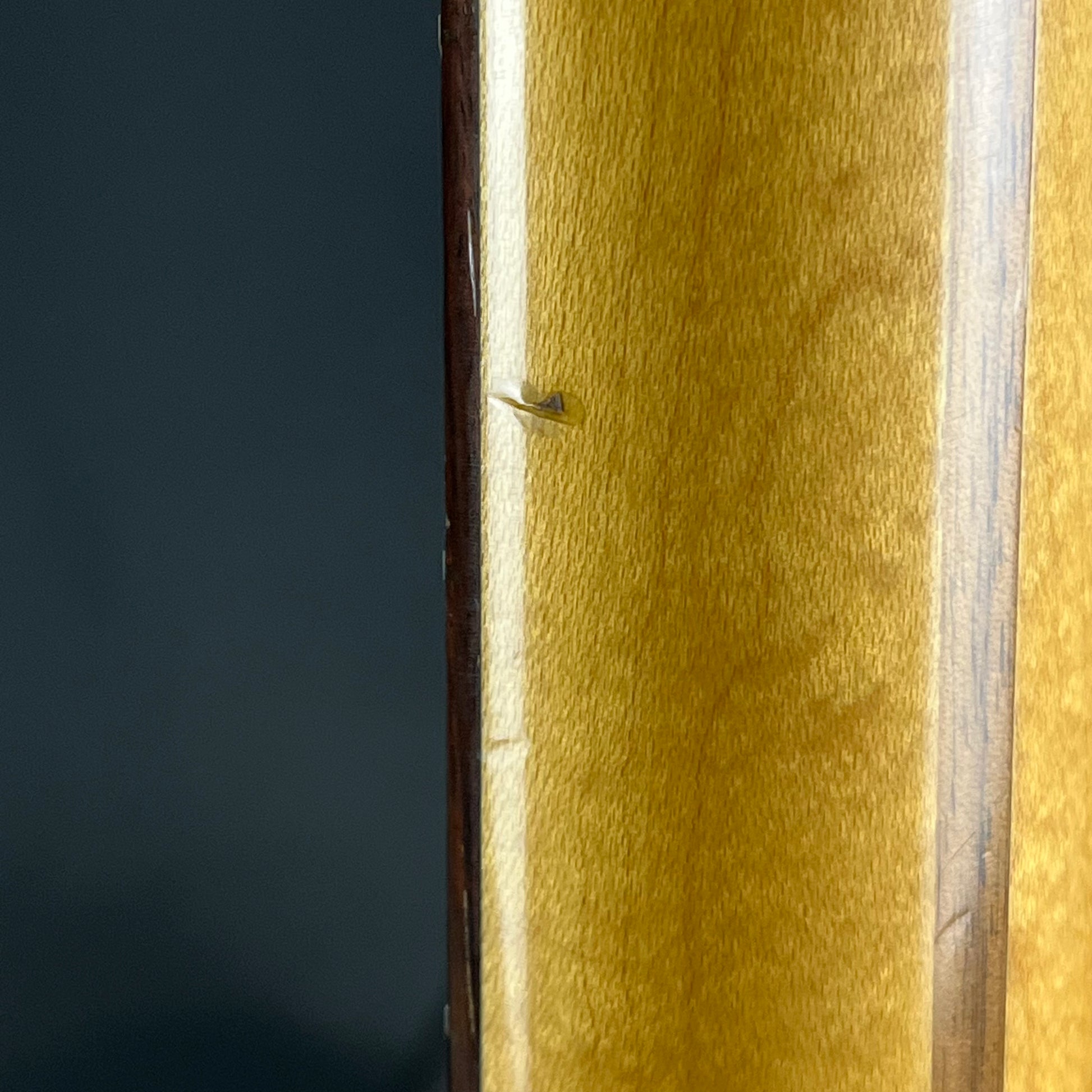 FGN Japan Neo Classic Telecaster