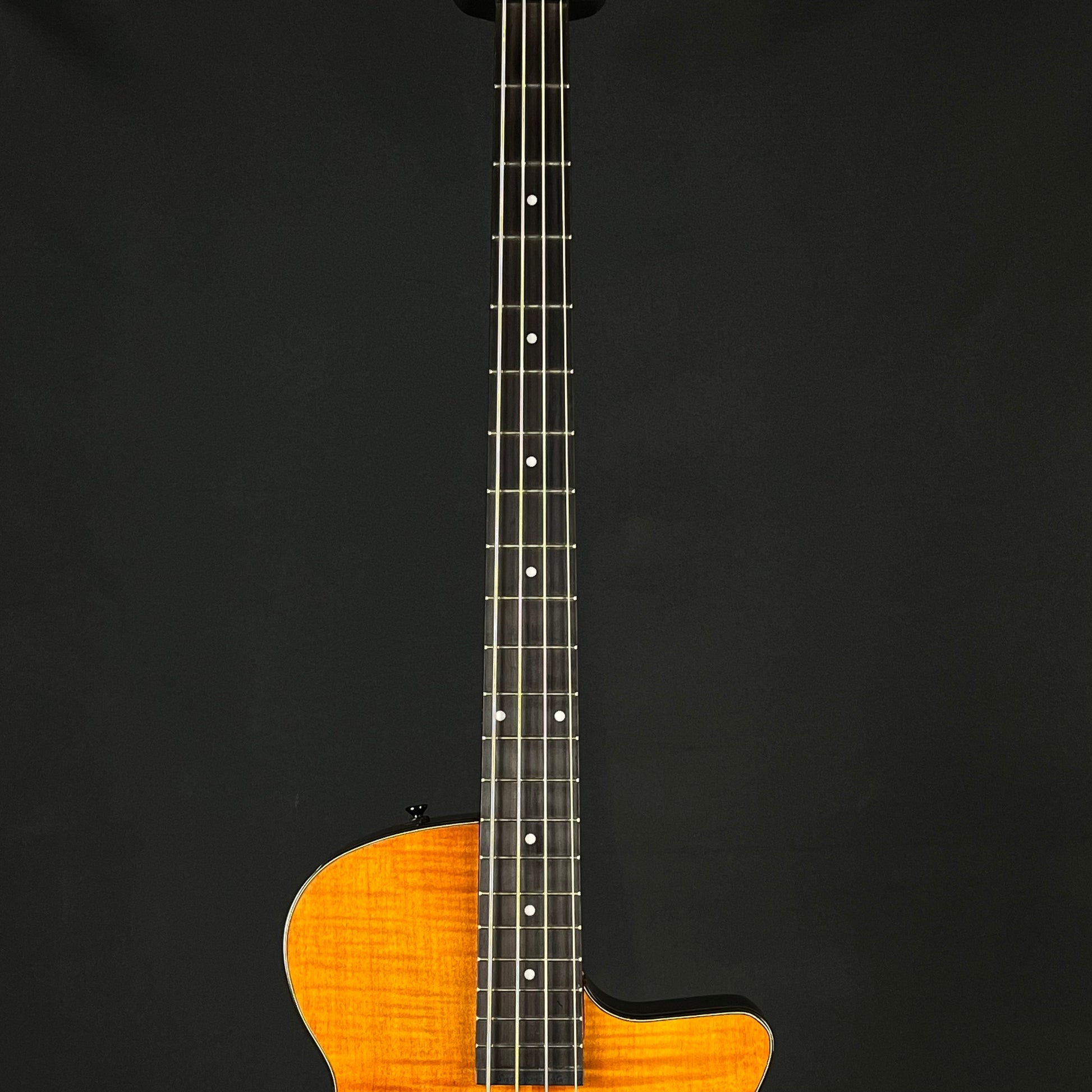Epiphone Zenith Bass