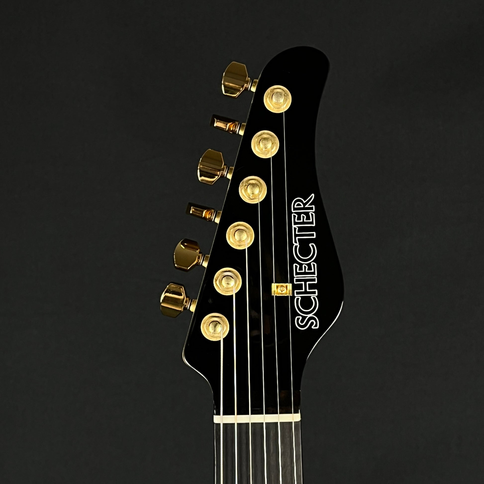 Schecter Japan NV-DX-24