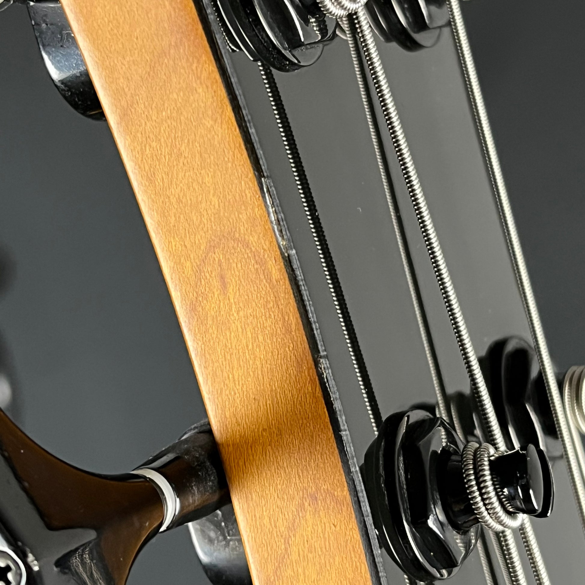 Epiphone Zenith Bass