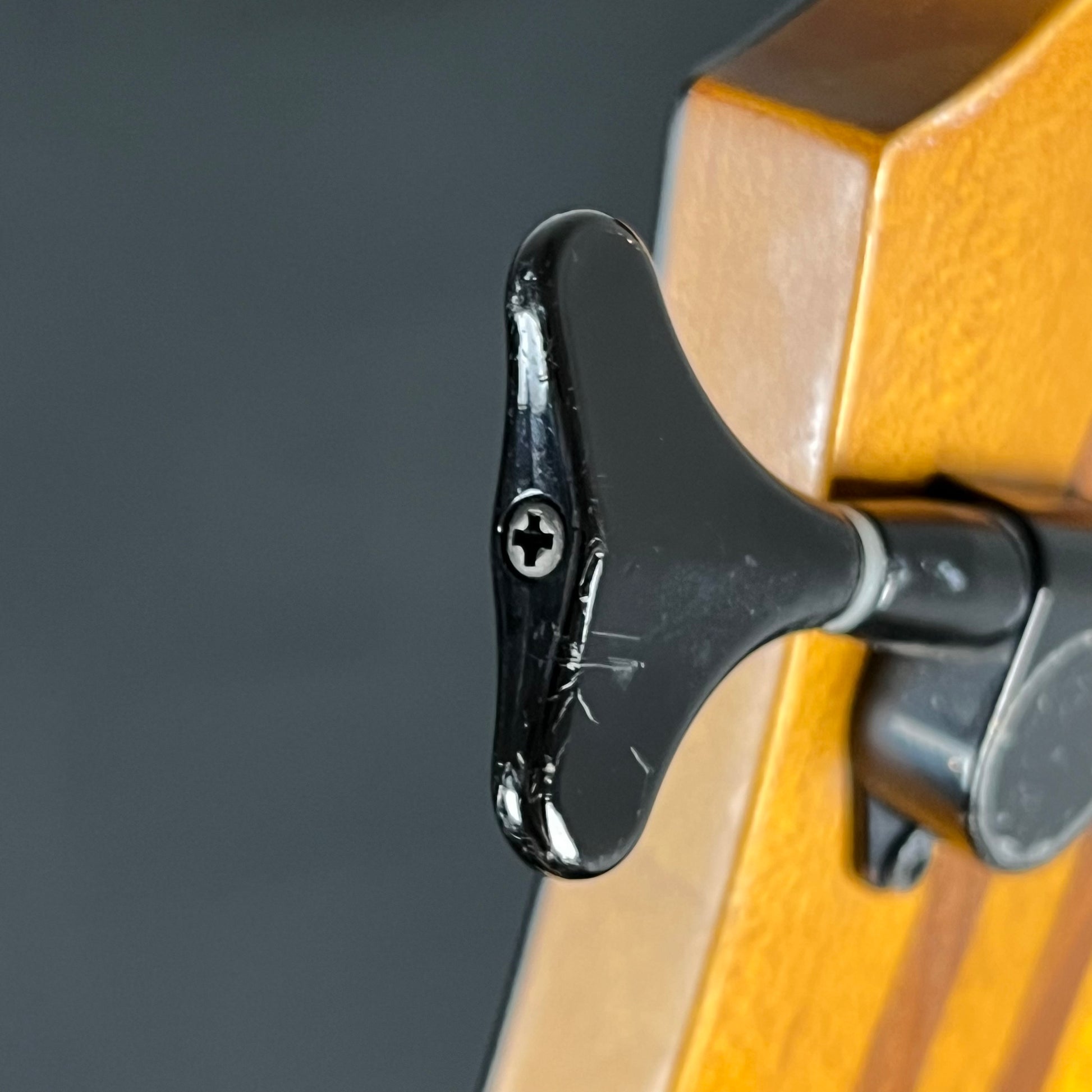 Epiphone Zenith Bass