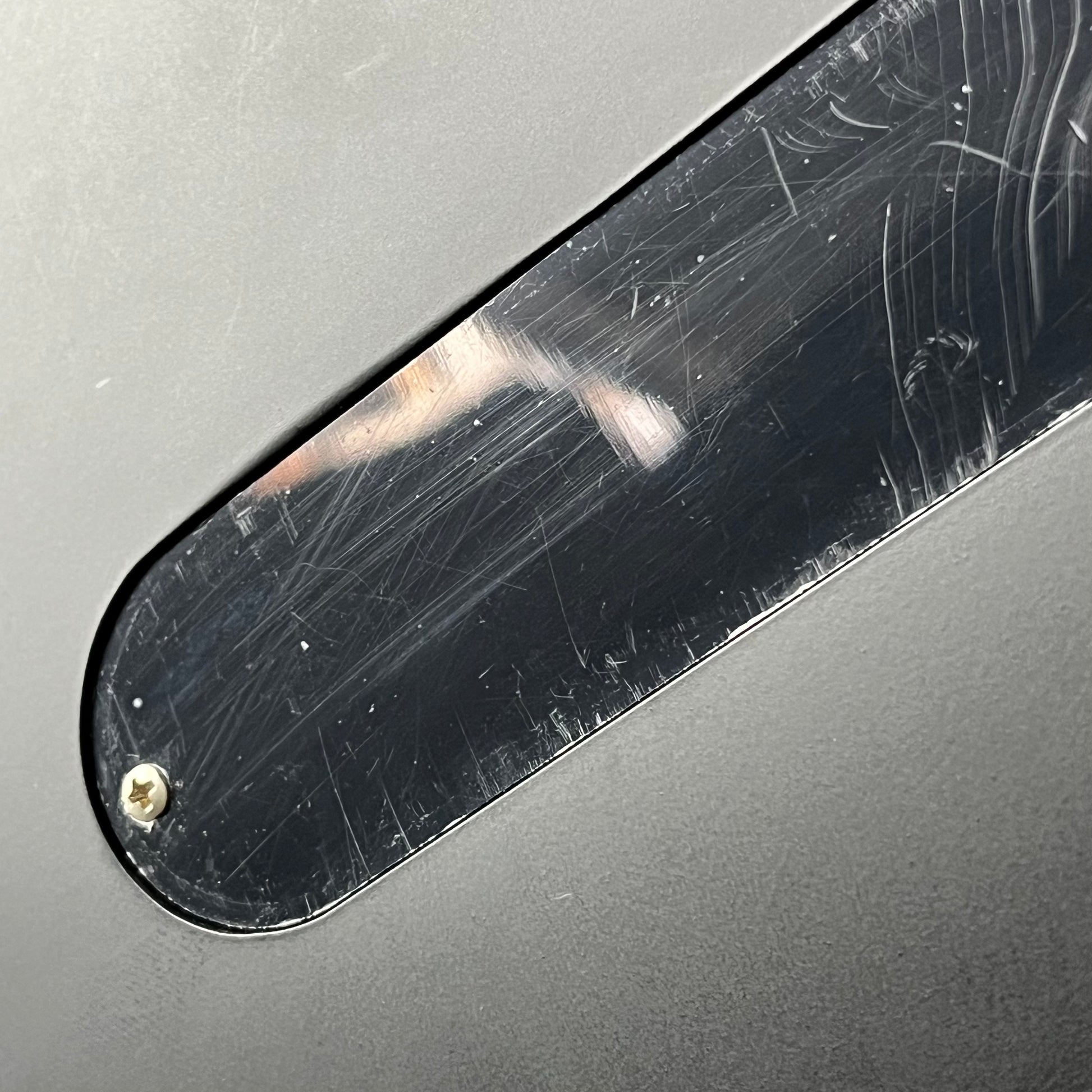 Epiphone Brendon Small GhostHorse Explorer 2021