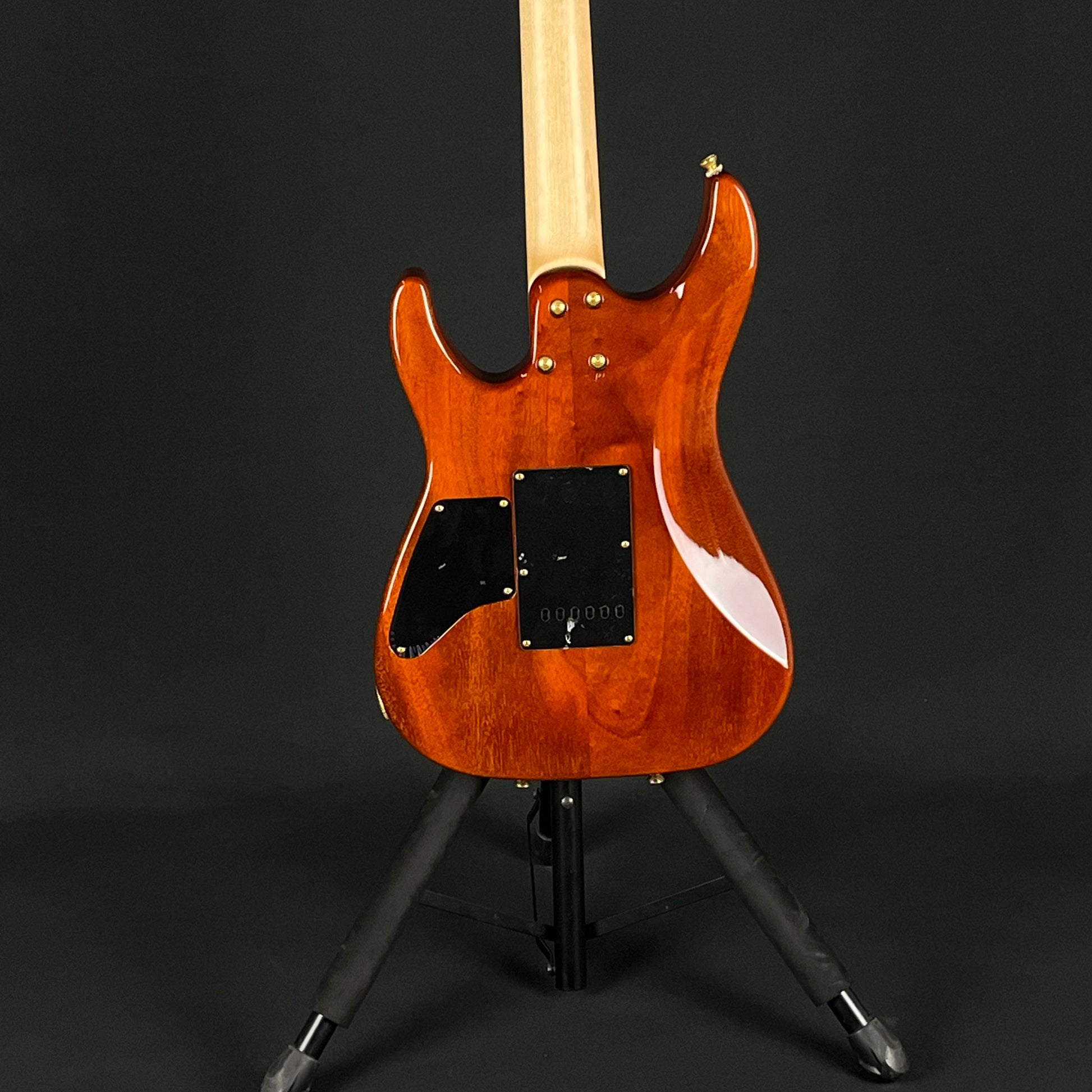 Schecter Japan NV-DX-24