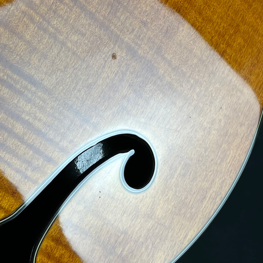 Epiphone Zenith Bass