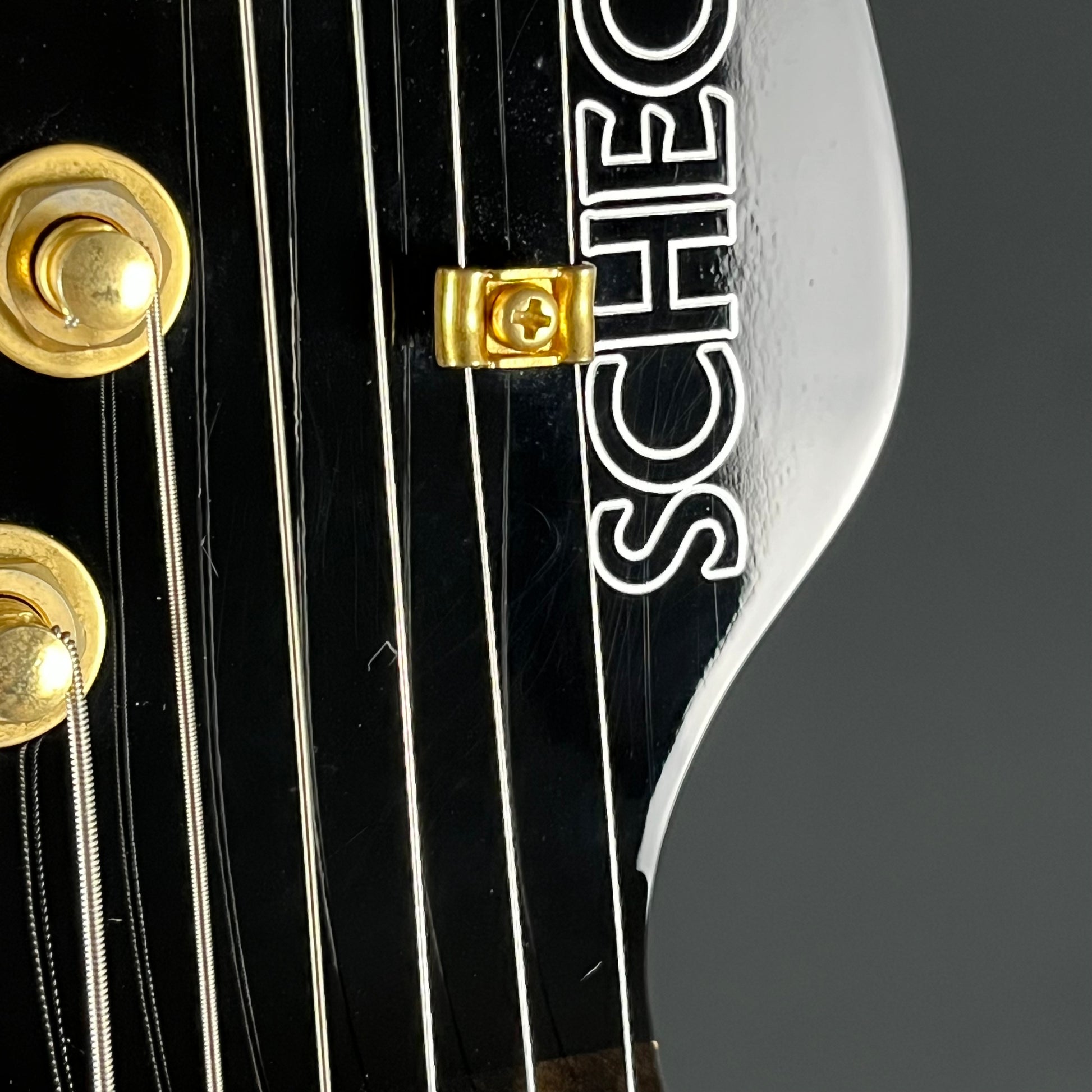 Schecter Japan NV-DX-24