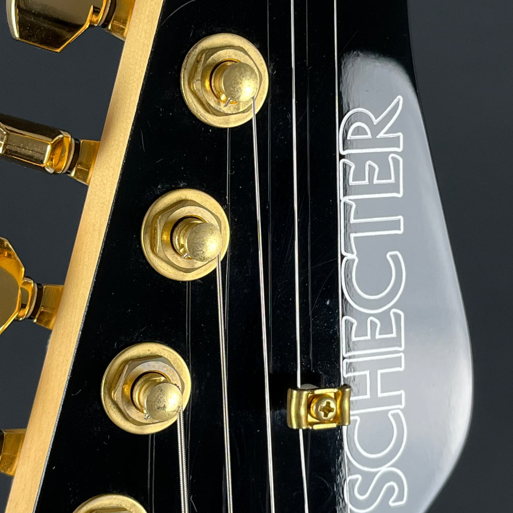 Schecter Japan NV-DX-24