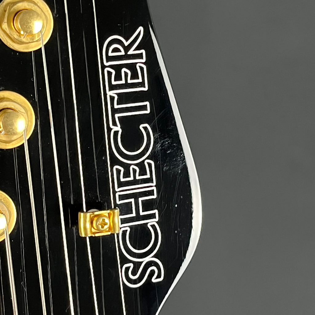 Schecter Japan NV-DX-24