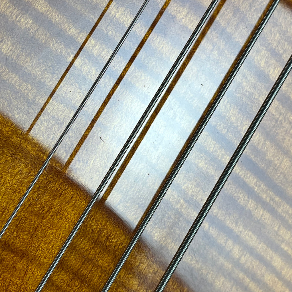 Epiphone Zenith Bass