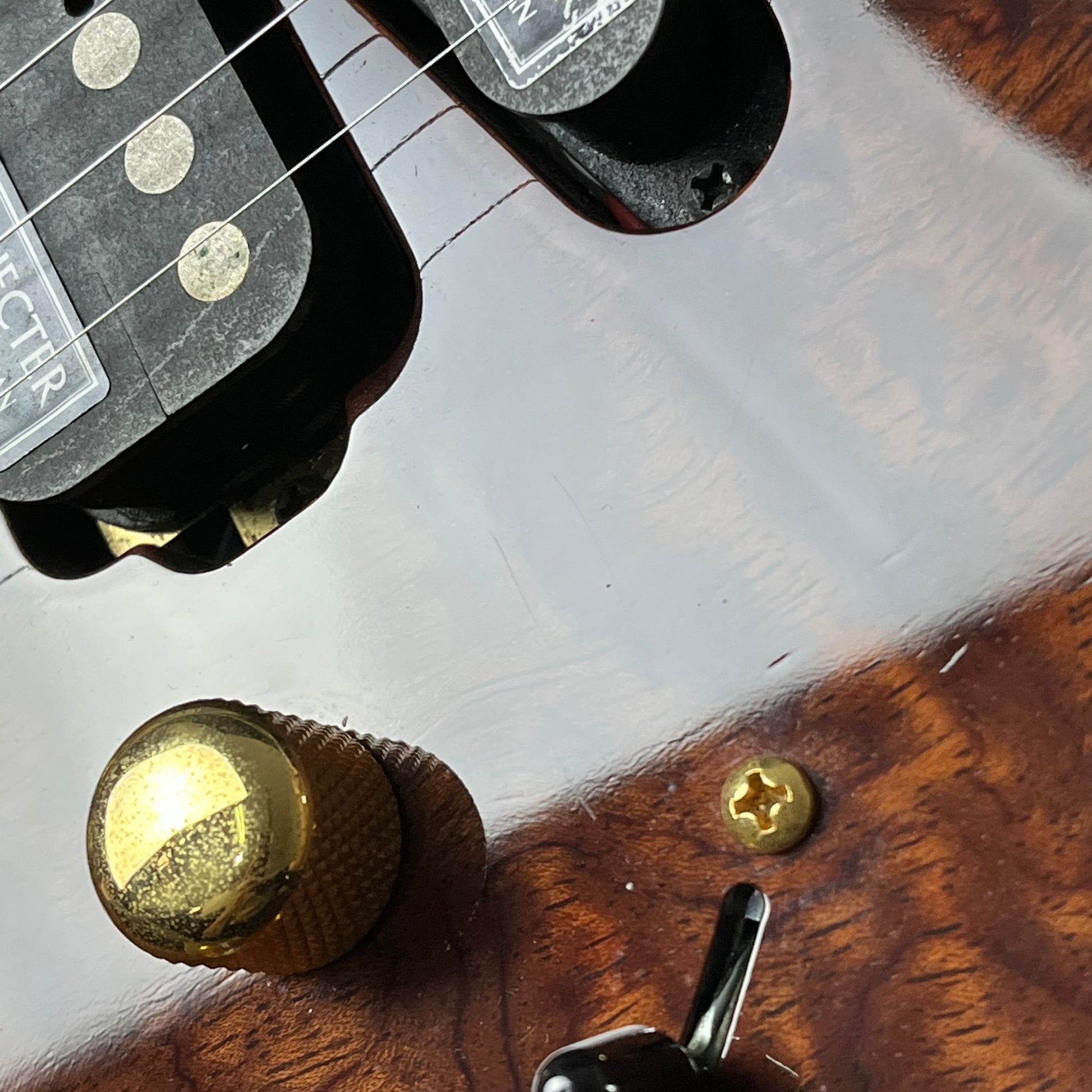 Schecter Japan NV-DX-24