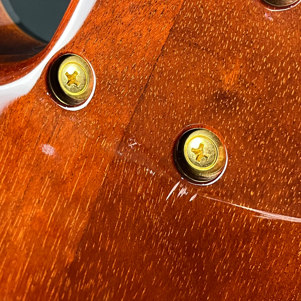 Schecter Japan NV-DX-24