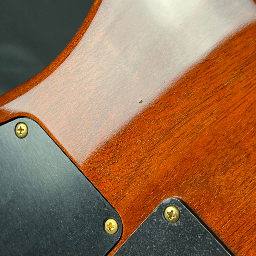 Schecter Japan NV-DX-24