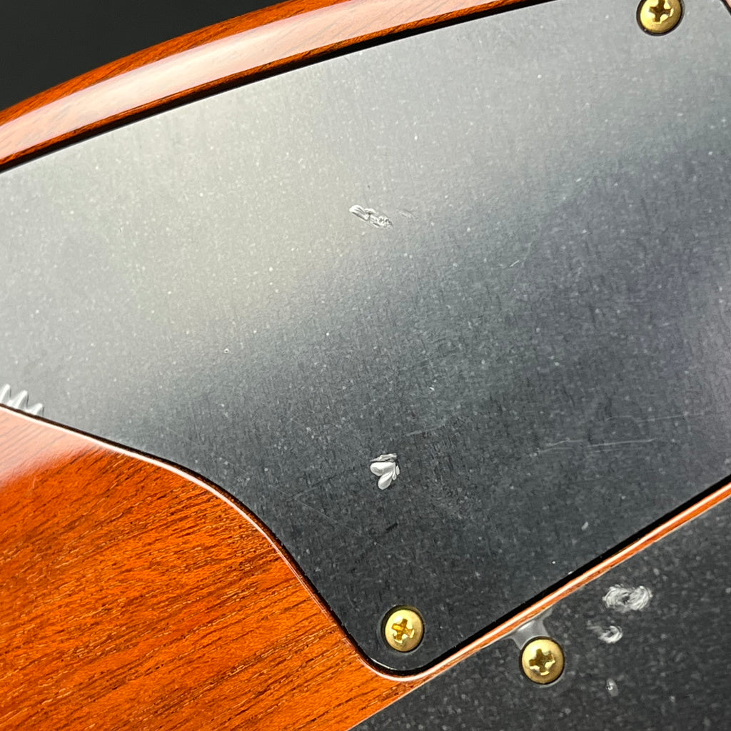 Schecter Japan NV-DX-24