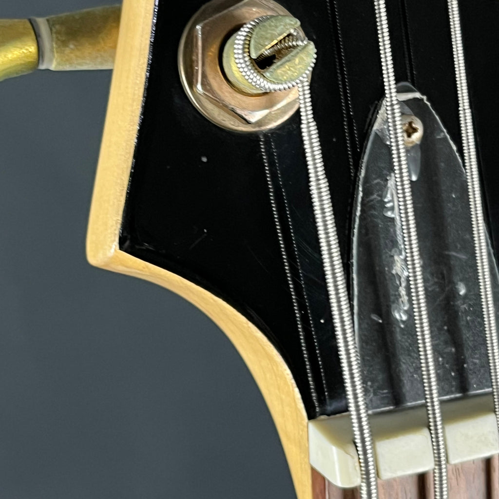 GrassRoots Forest Bass