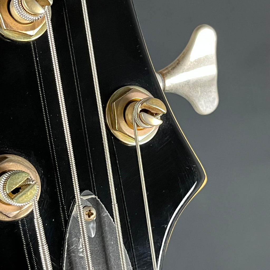 GrassRoots Forest Bass