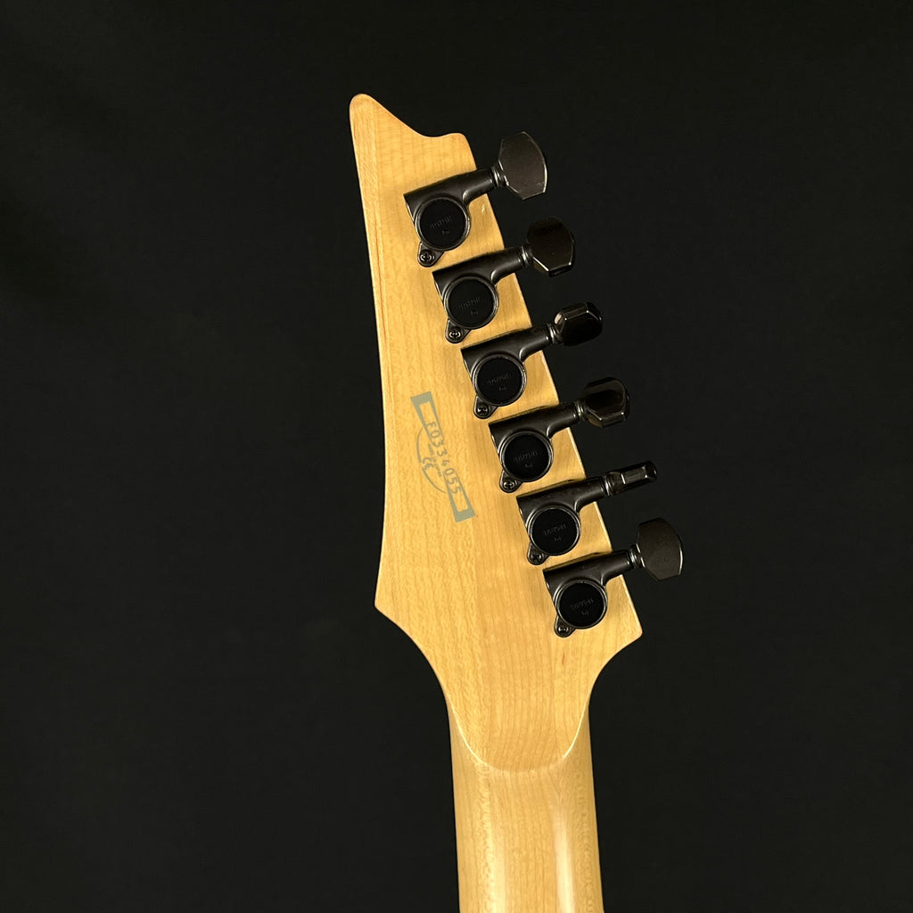 Ibanez Japan Prestige SRG2520 * PU Mod *