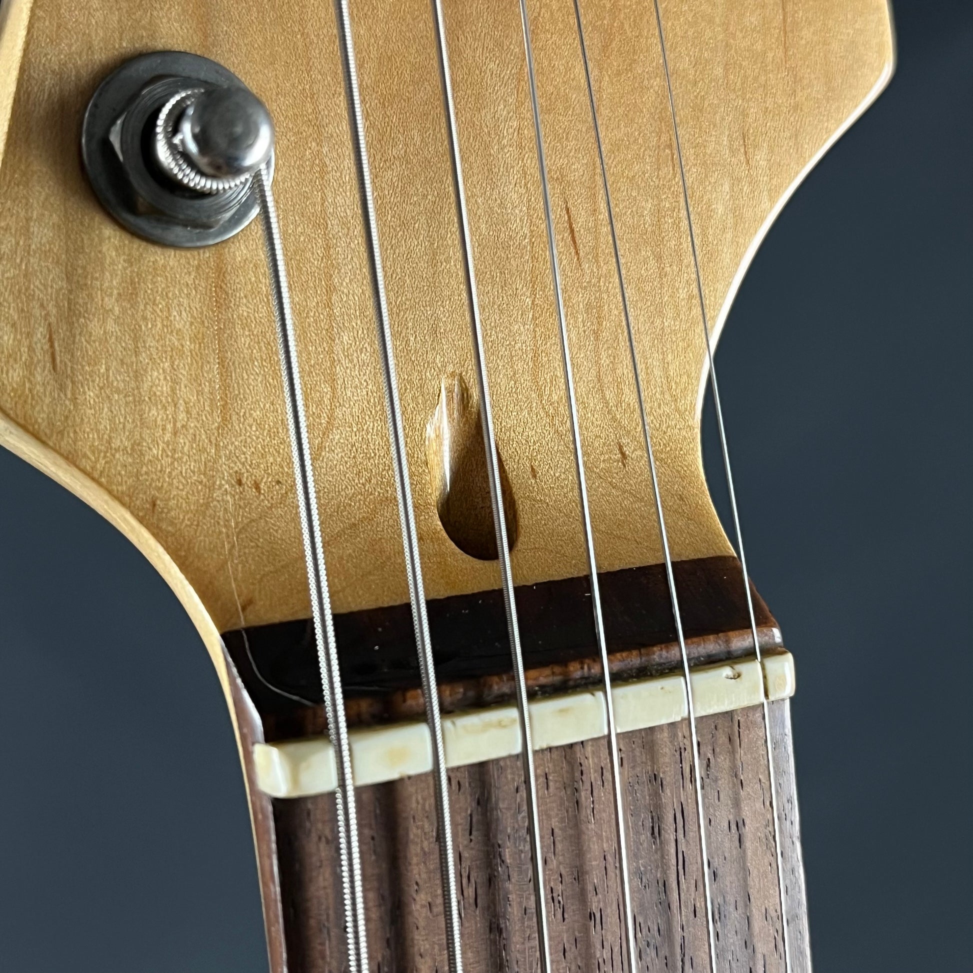 Bacchus Universe Series Stratocaster