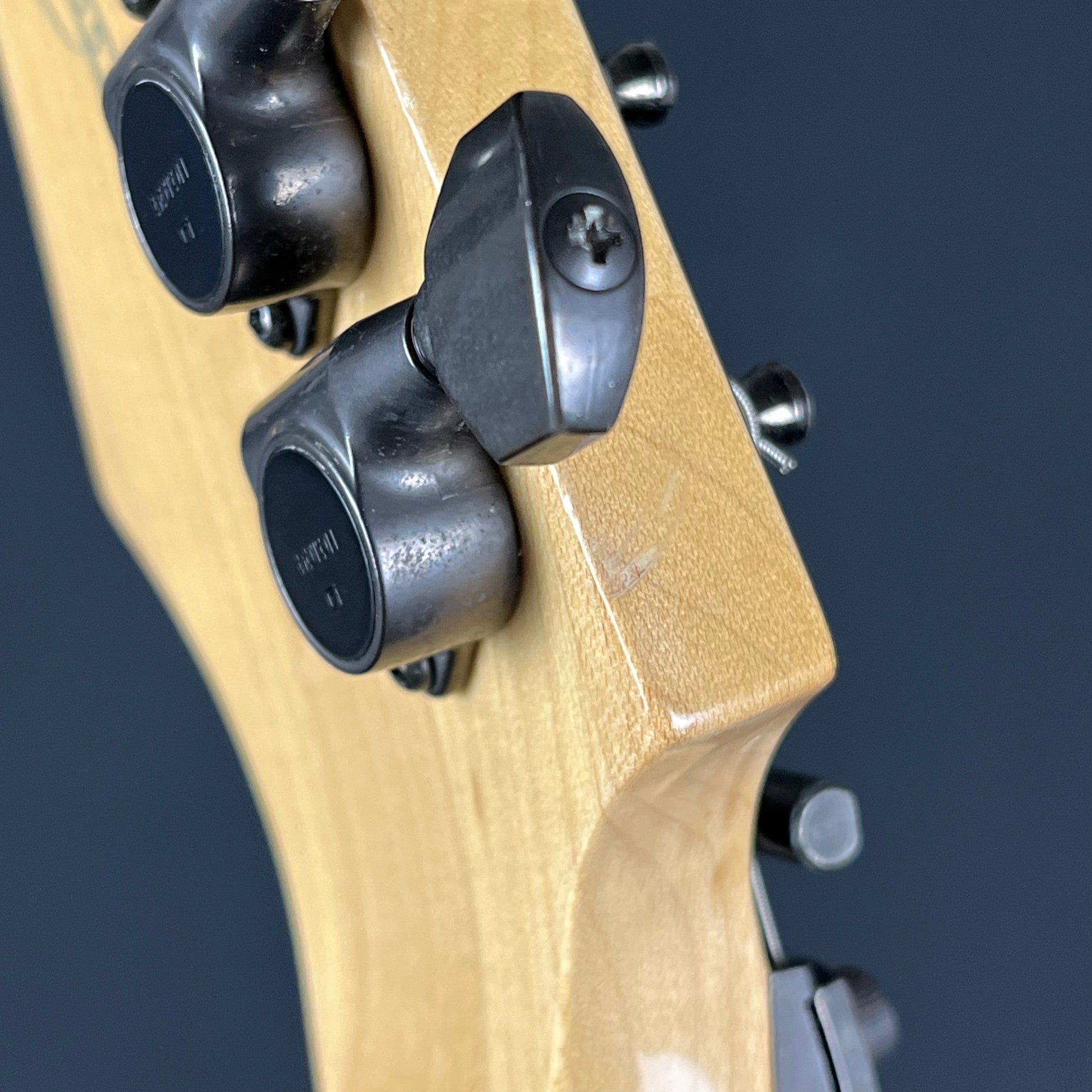 Ibanez Japan Prestige SRG2520 * PU Mod *