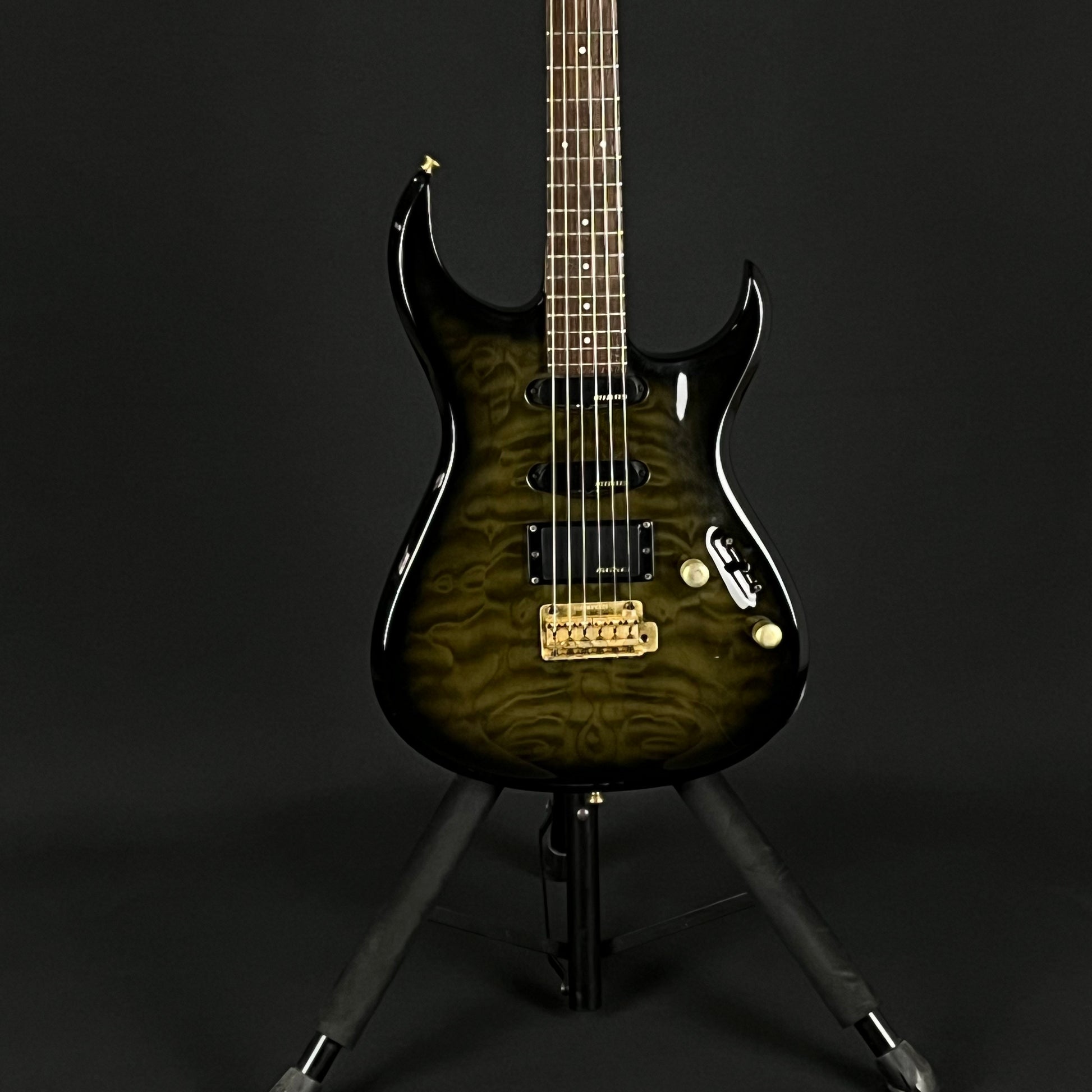 Fernandes FGZ-420