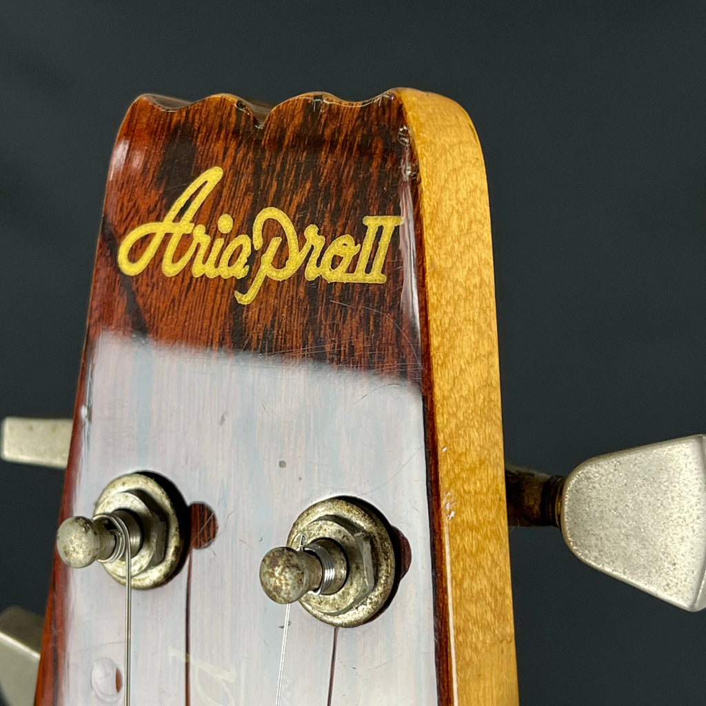 Aria Pro II Japan TS-500