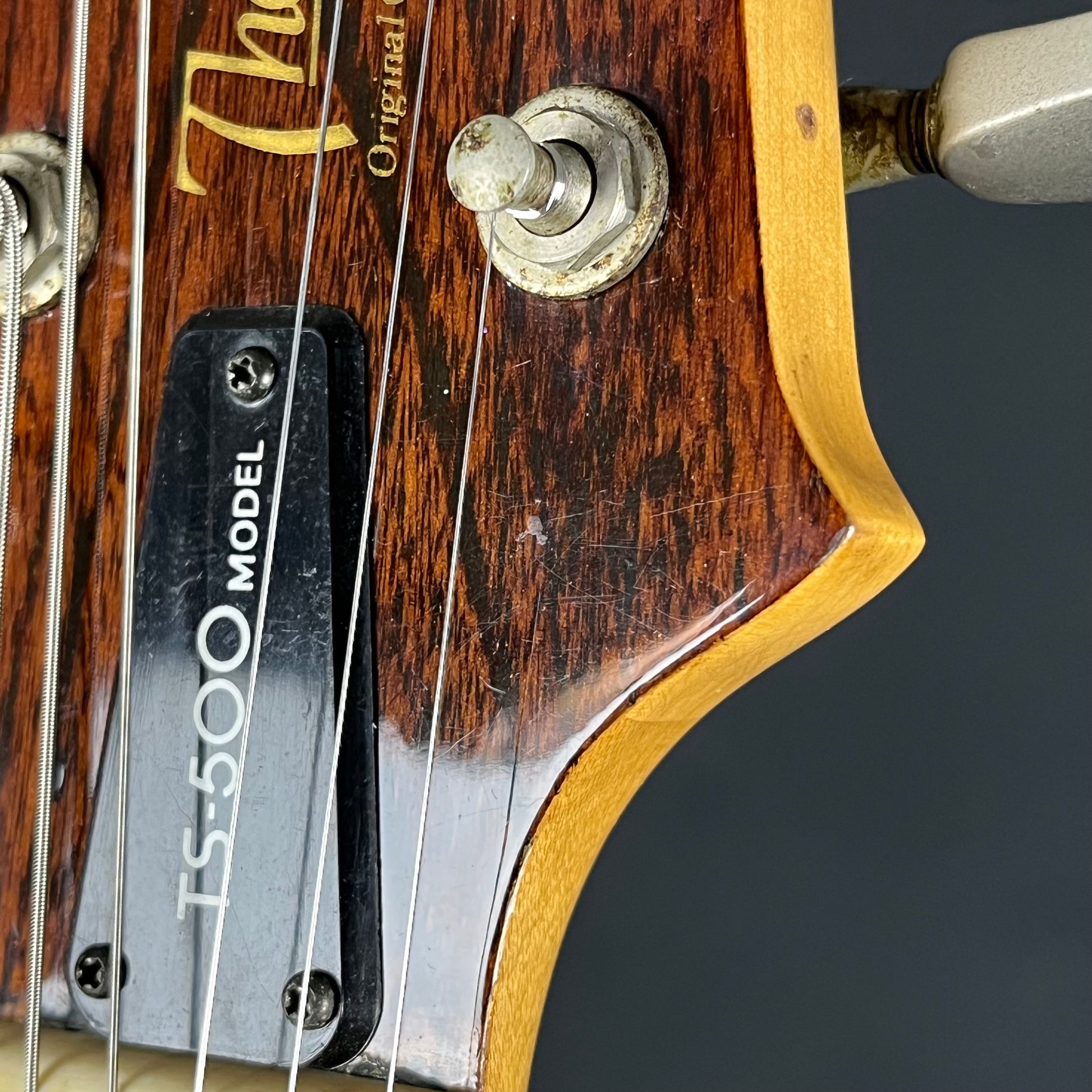 Aria Pro II Japan TS-500