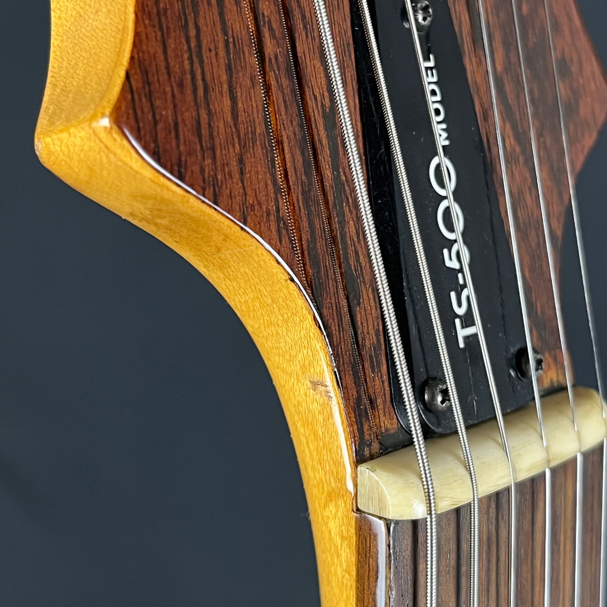 Aria Pro II Japan TS-500