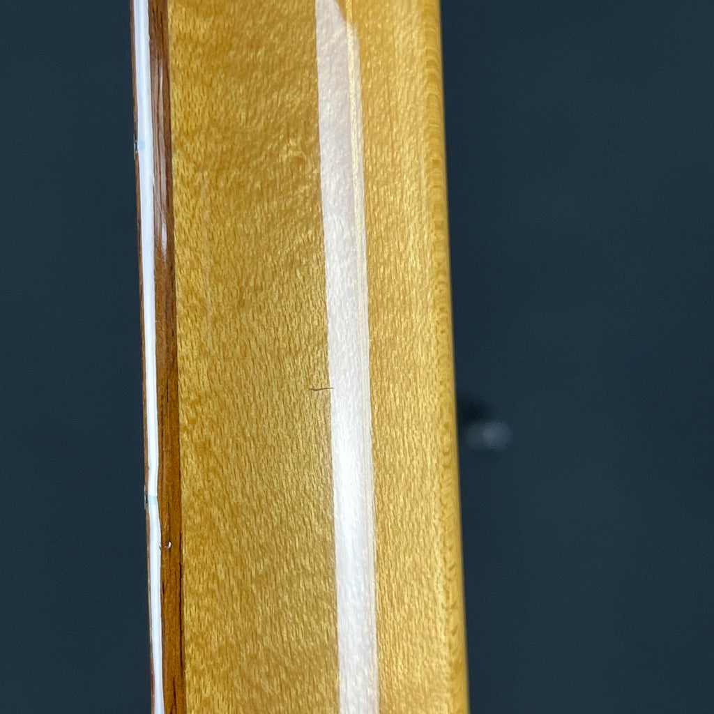 Aria Pro II Japan TS-500