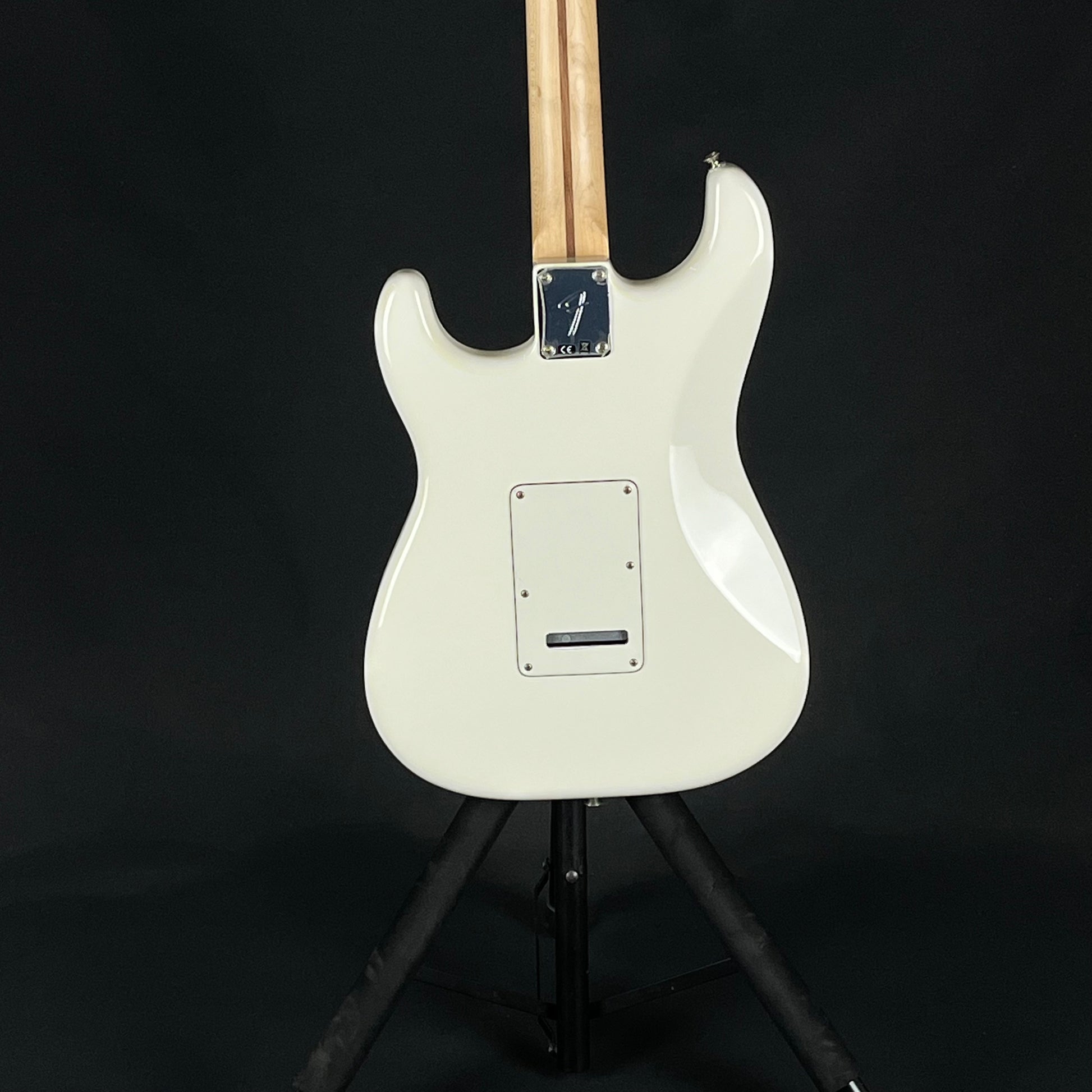 Fender Player Stratocaster MN PW