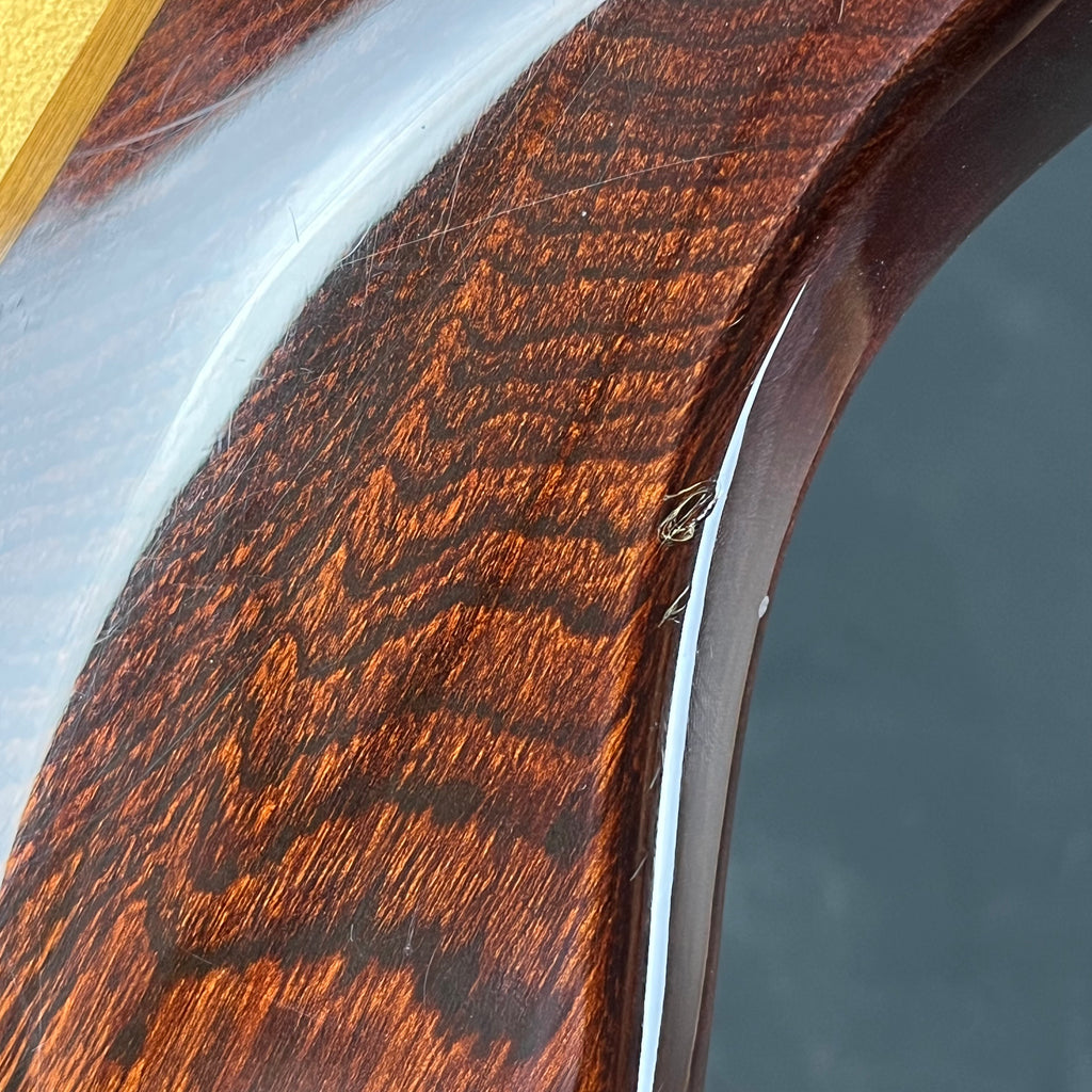 Aria Pro II Japan TS-500