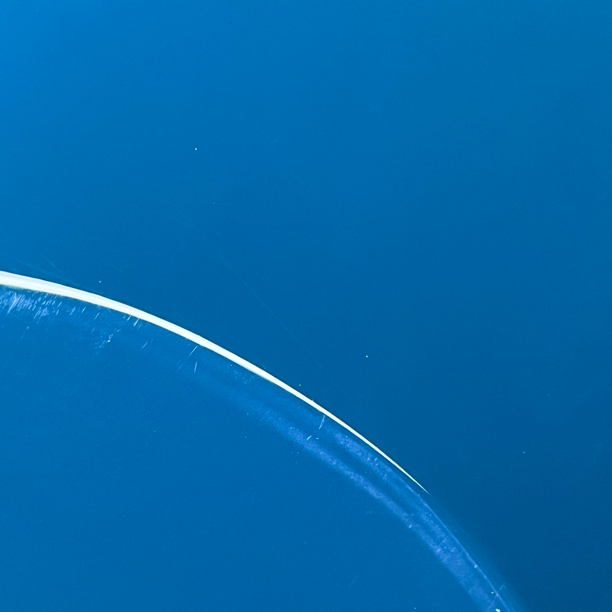 Bacchus WJB-360M Bass