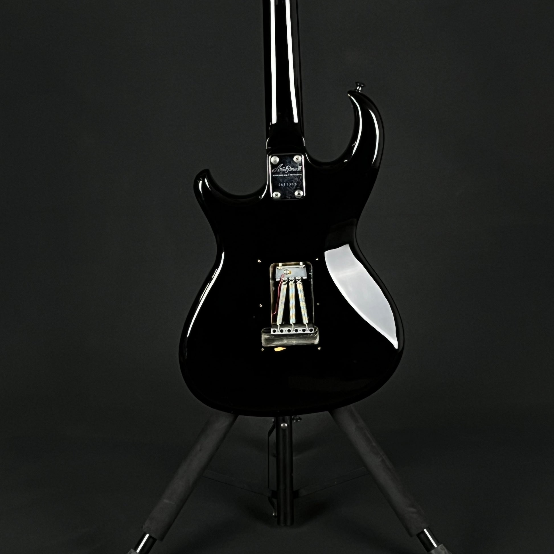 Aria Pro II RS WILDCAT