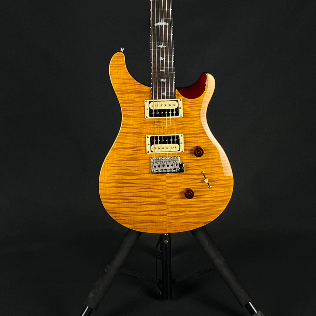 PRS SE Custom 24 2018