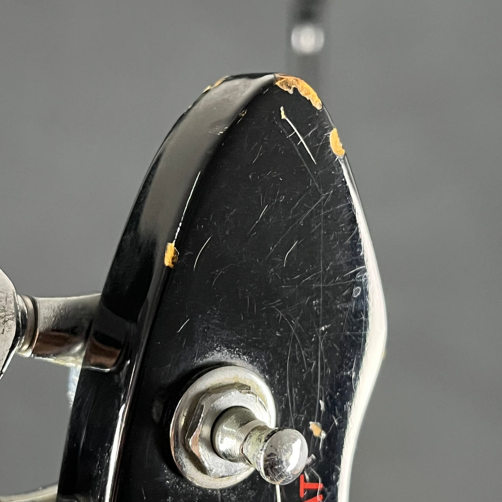 Aria Pro II RS WILDCAT