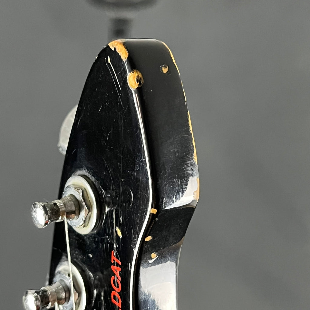 Aria Pro II RS WILDCAT