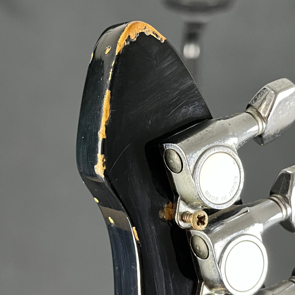 Aria Pro II RS WILDCAT