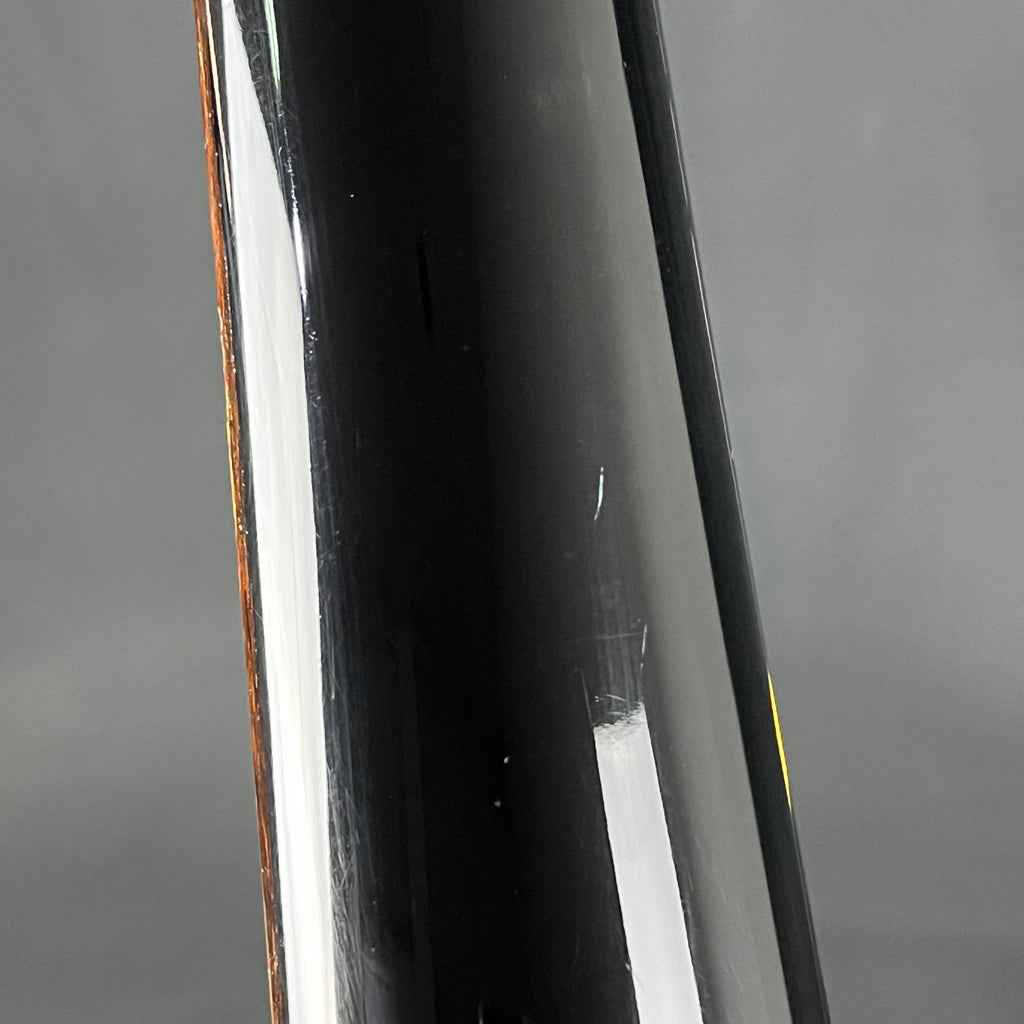 Aria Pro II RS WILDCAT
