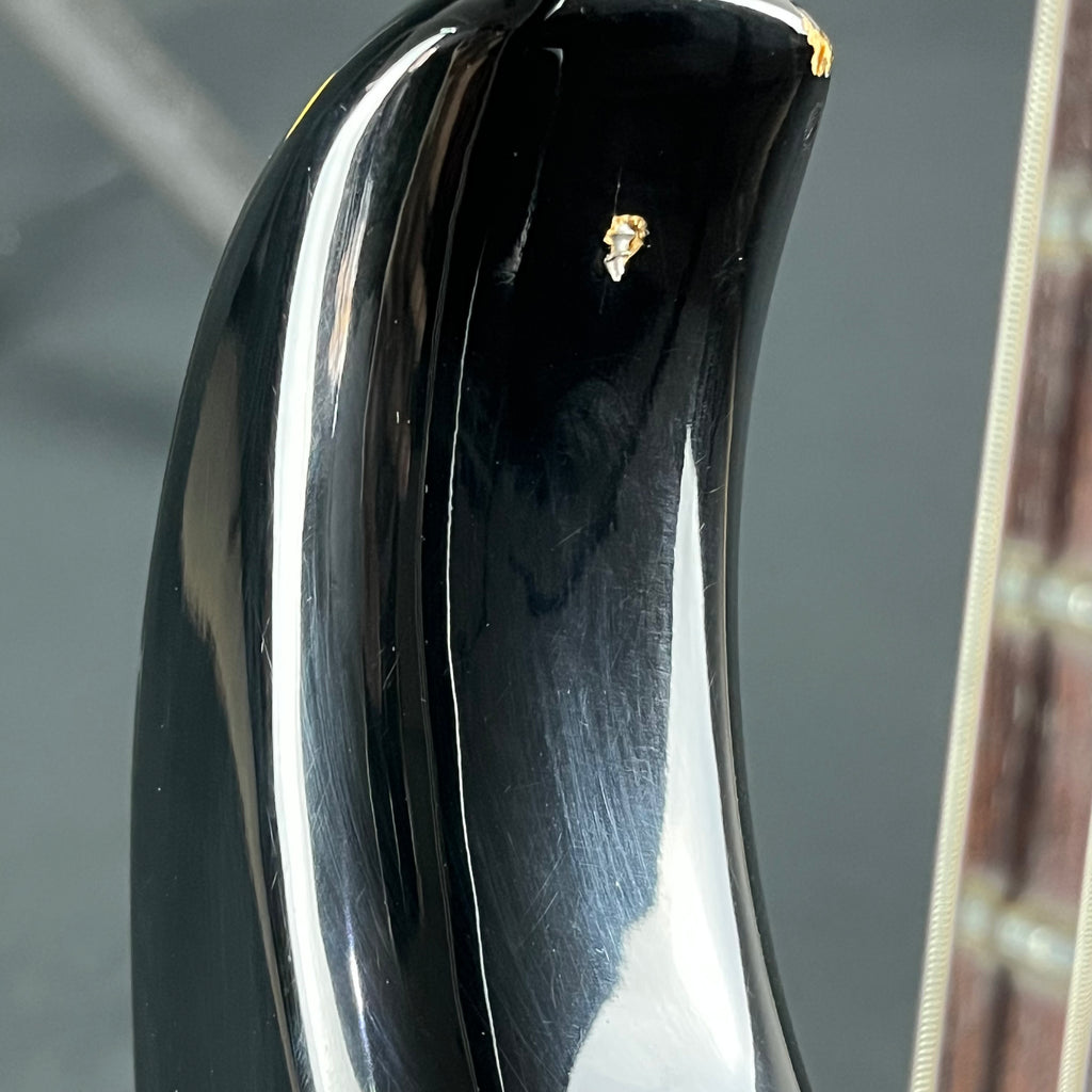 Aria Pro II RS WILDCAT