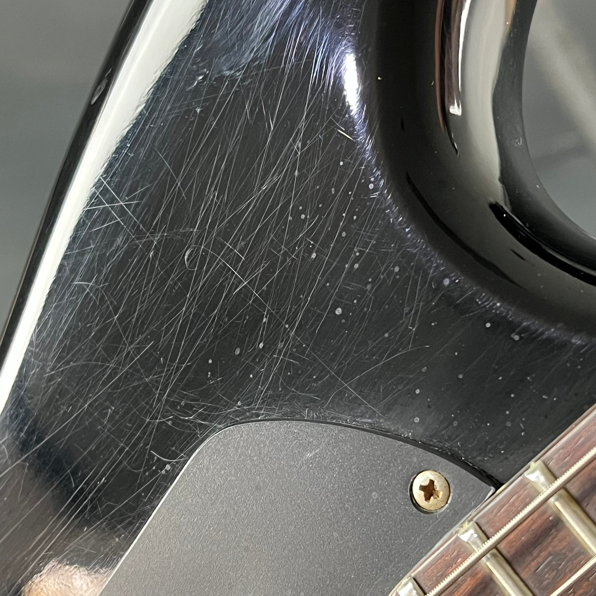 Aria Pro II RS WILDCAT