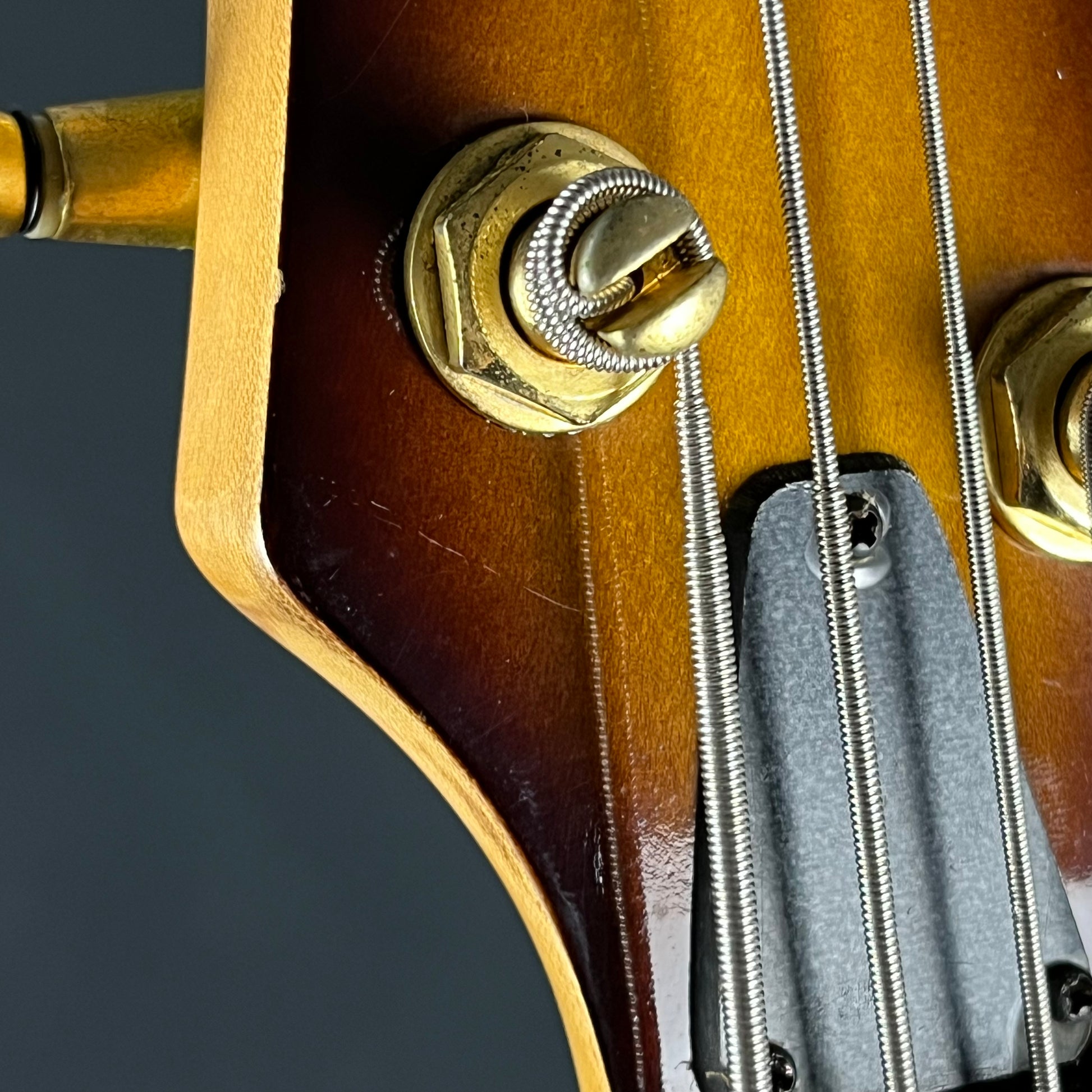 Aria Pro II PJ Bass