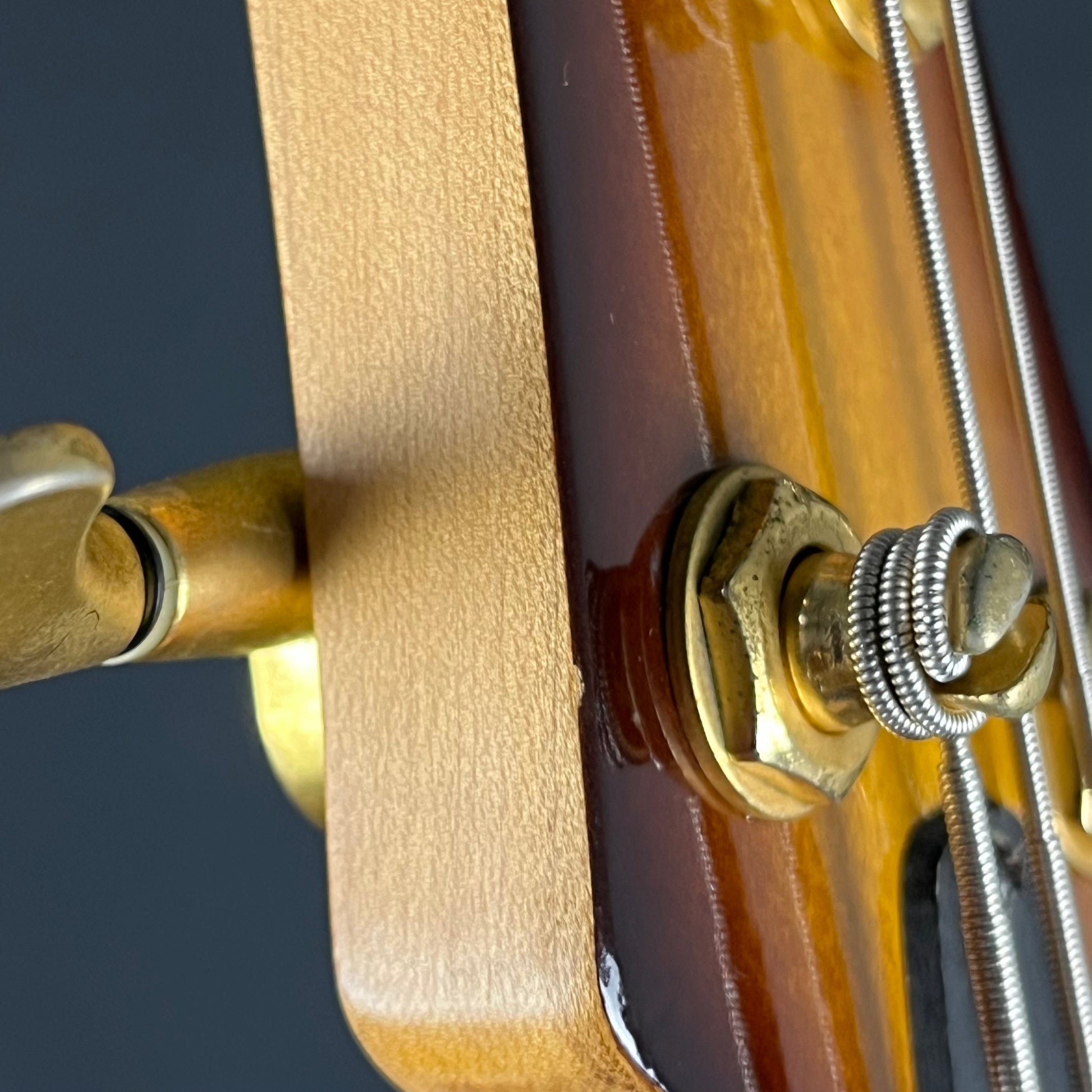 Aria Pro II PJ Bass