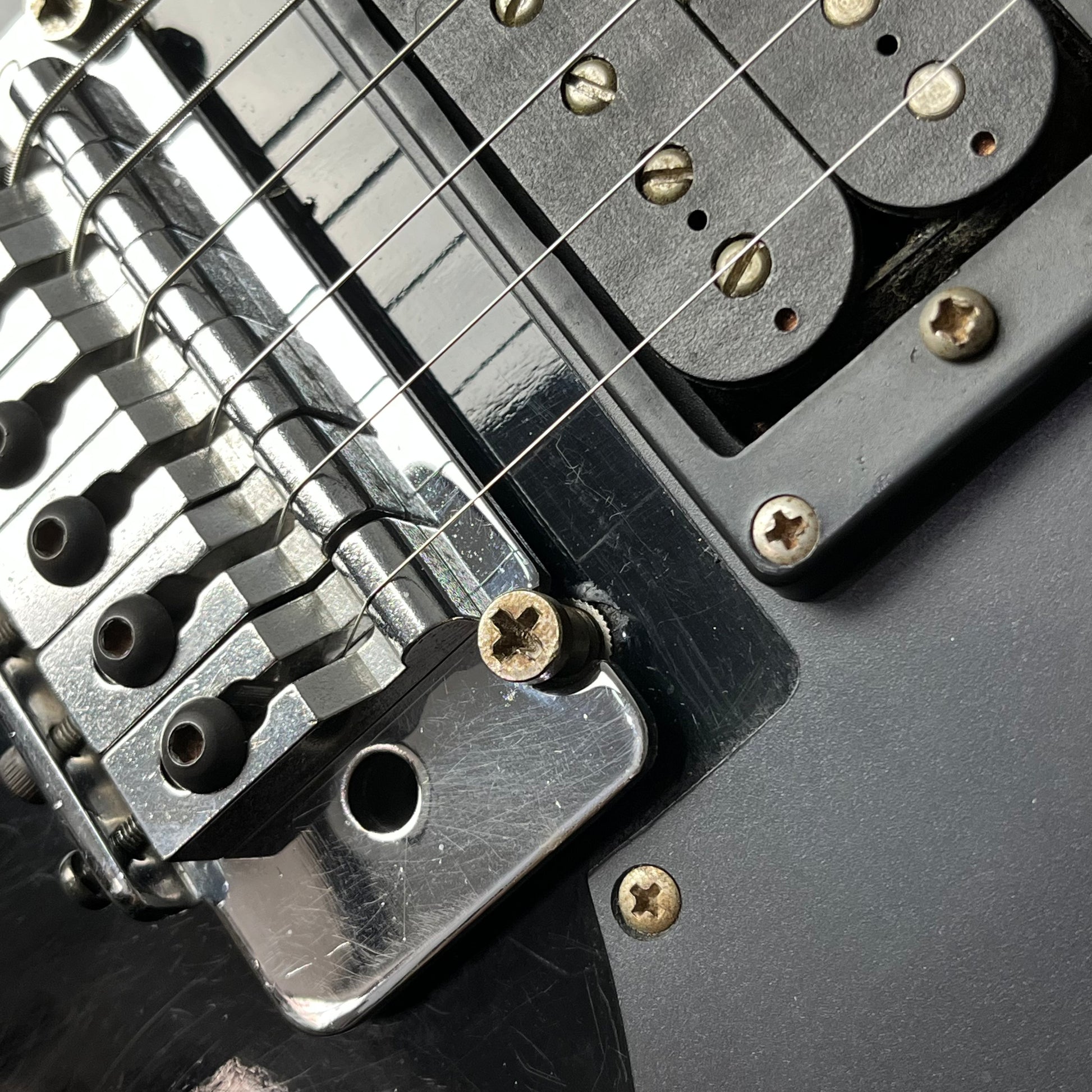 Aria Pro II RS WILDCAT