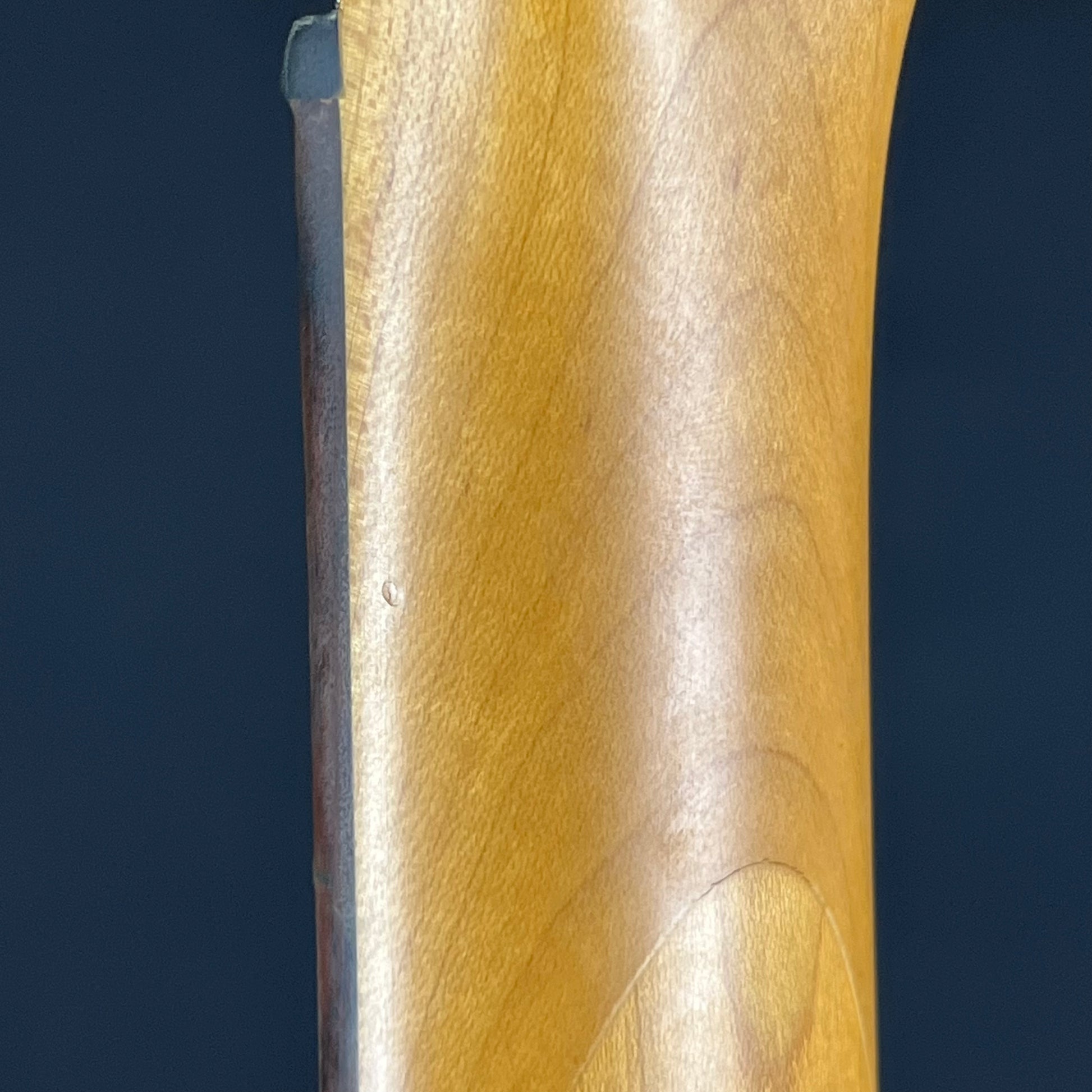 Aria Pro II PJ Bass