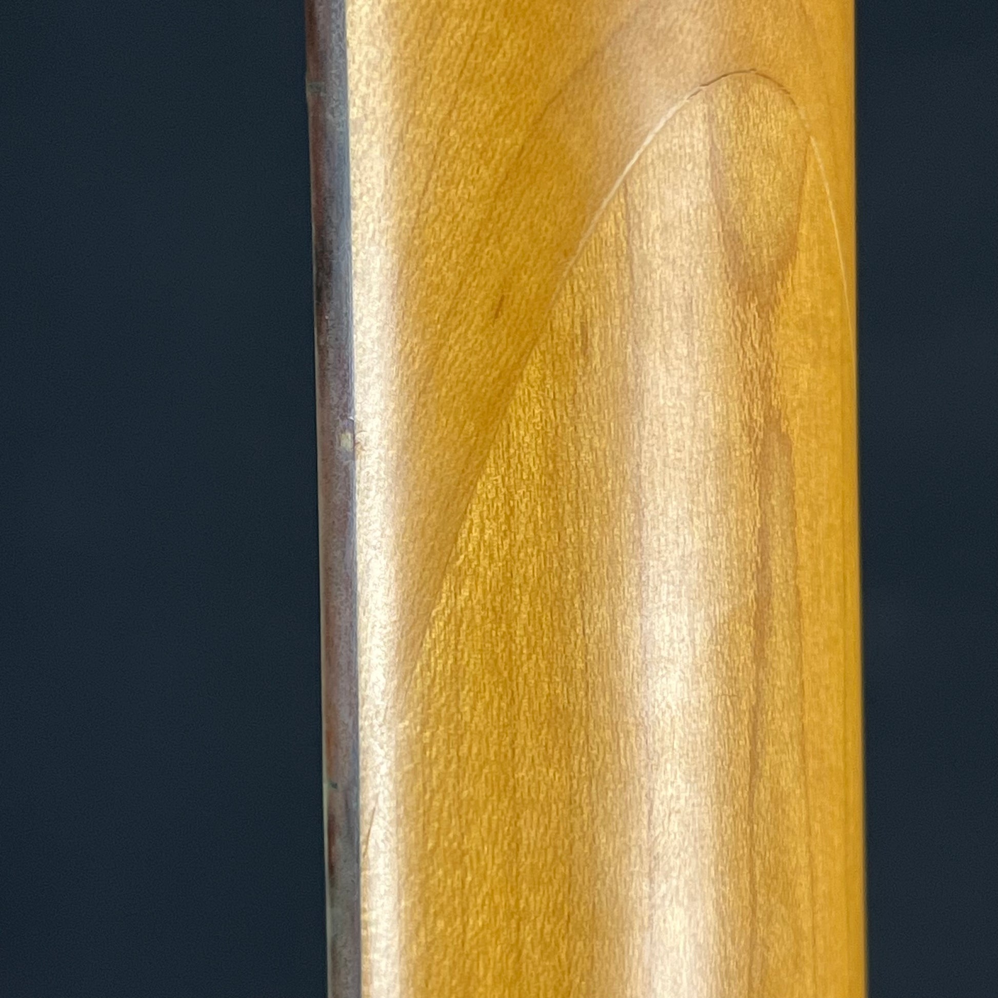 Aria Pro II PJ Bass
